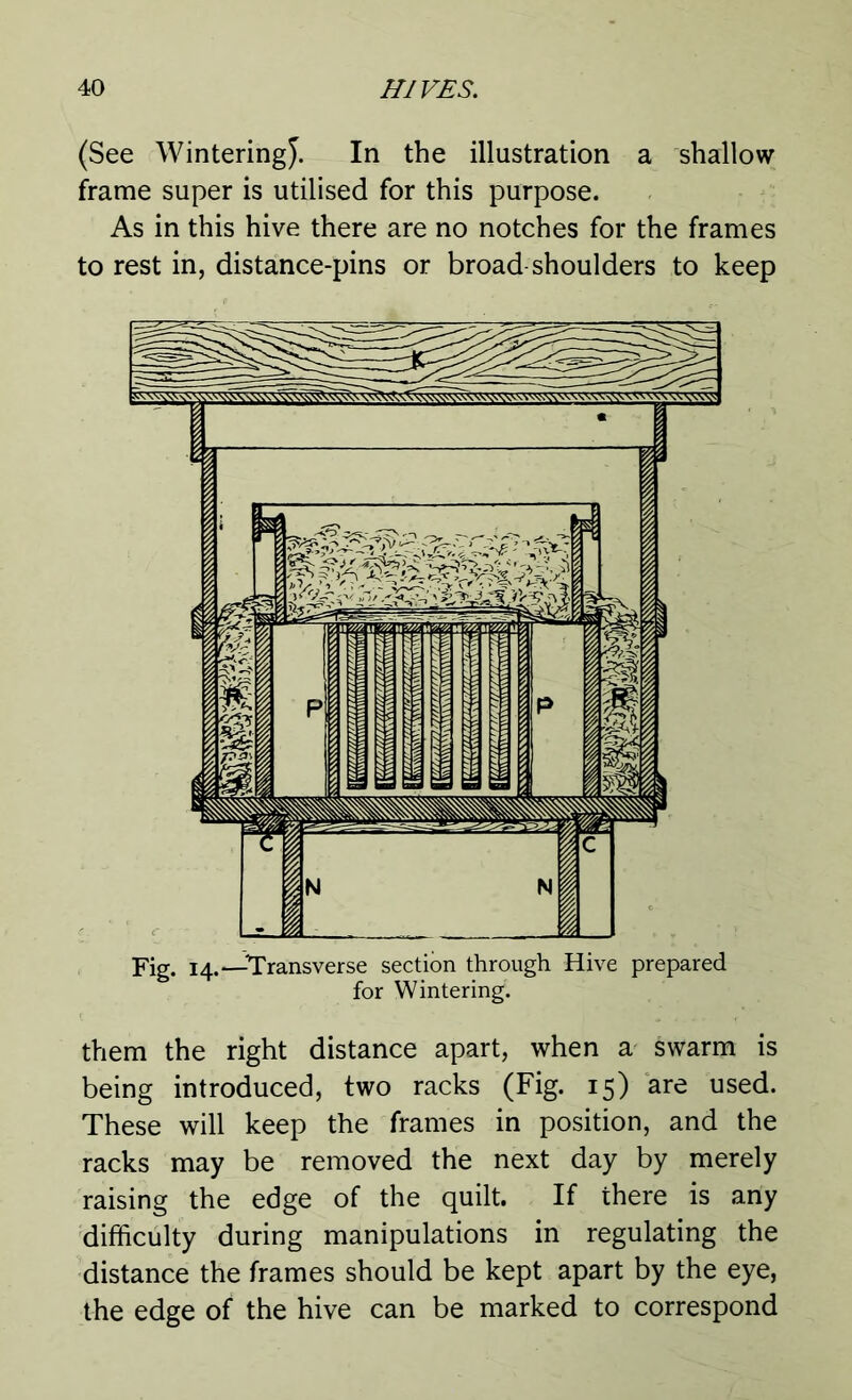 (See Wintering^. In the illustration a shallow frame super is utilised for this purpose. As in this hive there are no notches for the frames to rest in, distance-pins or broad shoulders to keep Fig. 14.—Transverse section through Hive prepared for Wintering. them the right distance apart, when a swarm is being introduced, two racks (Fig. 15) are used. These will keep the frames in position, and the racks may be removed the next day by merely raising the edge of the quilt. If there is any difficulty during manipulations in regulating the distance the frames should be kept apart by the eye, the edge of the hive can be marked to correspond