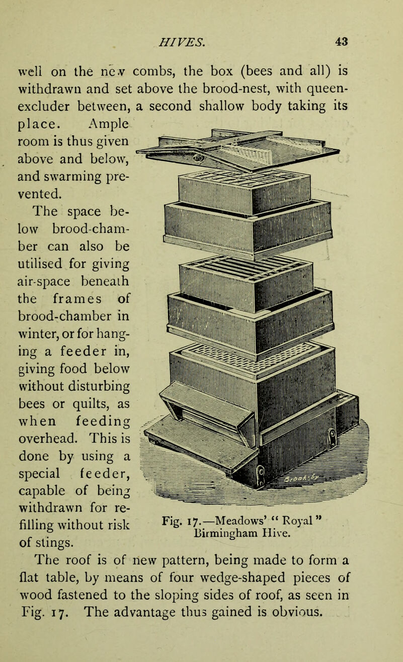 well on the new combs, the box (bees and all) is withdrawn and set above the brood-nest, with queen- excluder between, a second shallow body taking its place. Ample room is thus given above and below, and swarming pre- vented. The space be- low brood-cham- ber can also be utilised for giving air-space beneath the frames of brood-chamber in winter, or for hang- ing a feeder in, giving food below without disturbing bees or quilts, as when feeding overhead. This is done by using a special feeder, capable of being withdrawn for re- filling without risk of stings. The roof is of new pattern, being made to form a flat table, by means of four wedge-shaped pieces of wood fastened to the sloping sides of roof, as seen in Fig. 17. The advantage thus gained is obvious. Fig. 17.—Meadows’ “ Royal” Birmingham Hive.