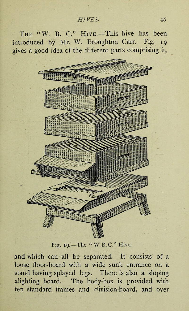 The “W. B. C.” Hive.—This hive has been introduced by Mr. W. Broughton Carr. Fig. 19 gives a good idea of the different parts comprising it, Fig. 19.—The “ W.B.C.” Hive. and which can all be separated. It consists of a loose floor-board with a wide sunk entrance on a stand having splayed legs. There is also a sloping alighting board. The body-box is provided with ten standard frames and division-board, and over