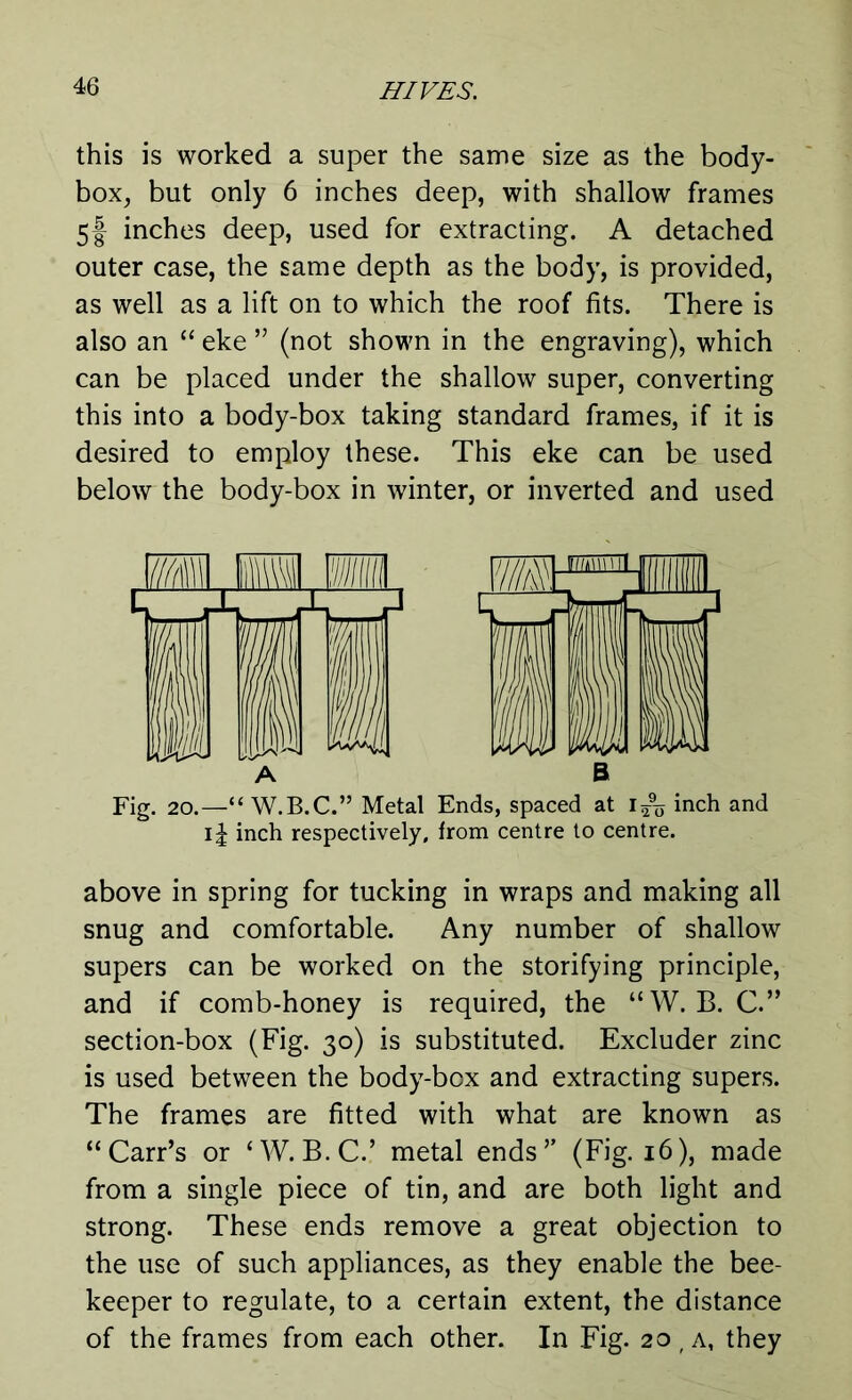 this is worked a super the same size as the body- box, but only 6 inches deep, with shallow frames 5! inches deep, used for extracting. A detached outer case, the same depth as the body, is provided, as well as a lift on to which the roof fits. There is also an “ eke ” (not shown in the engraving), which can be placed under the shallow super, converting this into a body-box taking standard frames, if it is desired to employ these. This eke can be used below the body-box in winter, or inverted and used A B Fig. 20.—“W.B.C.” Metal Ends, spaced at 1^0 inch and i£ inch respectively, from centre to centre. above in spring for tucking in wraps and making all snug and comfortable. Any number of shallow supers can be worked on the storifying principle, and if comb-honey is required, the “W.B.C.” section-box (Fig. 30) is substituted. Excluder zinc is used between the body-box and extracting supers. The frames are fitted with what are known as “Carr’s or ‘W.B.C.’ metal ends’’ (Fig. 16), made from a single piece of tin, and are both light and strong. These ends remove a great objection to the use of such appliances, as they enable the bee- keeper to regulate, to a certain extent, the distance of the frames from each other. In Fig. 20,a, they