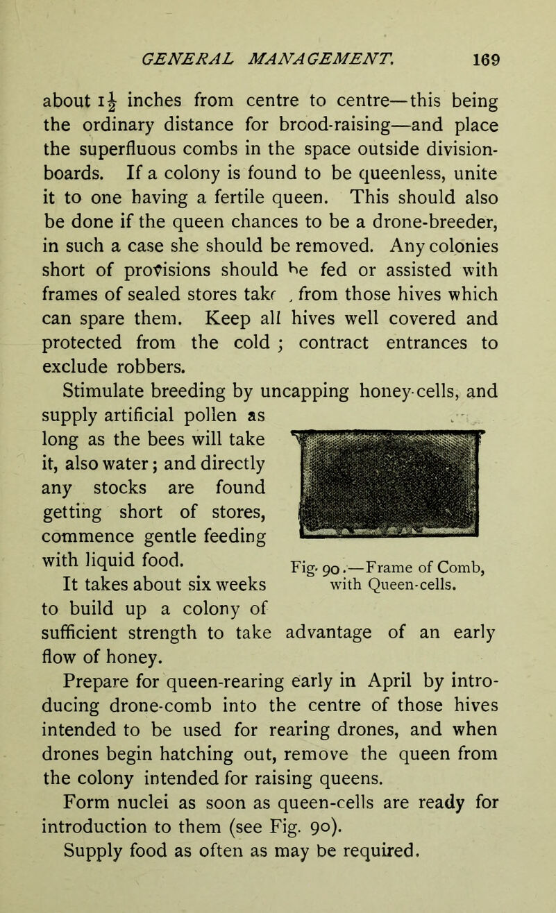 about ij inches from centre to centre—this being the ordinary distance for brood-raising—and place the superfluous combs in the space outside division- boards. If a colony is found to be queenless, unite it to one having a fertile queen. This should also be done if the queen chances to be a drone-breeder, in such a case she should be removed. Any colonies short of provisions should be fed or assisted with frames of sealed stores takr , from those hives which can spare them. Keep all hives well covered and protected from the cold ; contract entrances to exclude robbers. Stimulate breeding by uncapping honey-cells, and supply artificial pollen as long as the bees will take it, also water; and directly any stocks are found getting short of stores, commence gentle feeding with liquid food. It takes about six weeks to build up a colony of sufficient strength to take advantage of an early flow of honey. Prepare for queen-rearing early in April by intro- ducing drone-comb into the centre of those hives intended to be used for rearing drones, and when drones begin hatching out, remove the queen from the colony intended for raising queens. Form nuclei as soon as queen-cells are ready for introduction to them (see Fig. 90). Supply food as often as may be required. Fig- 90.—Frame of Comb, with Queen-cells.