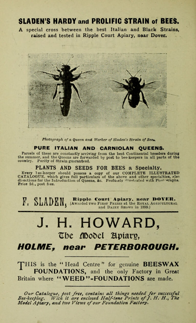 SLADEN S HARDY and PROLIFIC STRAIN of BEES. A special cross between the best Italian and Black Strains, raised and tested in Ripple Court Apiary, near Dover. Photograph of a Queen ana Worker of Sladen's Strain of Been. PURE ITALIAN AND CARNIOLAN QUEENS. Parcels of these are constantly arriving from the best Continental breeders during the summer, and the Queens are forwarded by post to bee-keepers in all parts of the country. Purity of Strain guaranteed. PLANTS AND SEEDS FOR BEES a Specialty. Every l ee-keeper should possess a copy of our COMPLETE ILLUSTRATED CATALOGUE, which gives full particulars of the above and other specialties, also diiections for the Introduction of Queens, &c. Profusely illustrated with Plmt-vraphs. Price 2d., post fiee. OT II Ripple Court Apiary, near ROVER. i JJ li fl U Li 111 (Awarded two First Prizes at the Royal Agricultural ' and Dairy Shows in 1899.) J. H. HOWARD, Ube flDobel Hpiatp, HOLME, near PETERBOROUGH. 'T'HIS is the “ Head Centre ” for genuine BEESWAX FOUNDATIONS, and the only Factory in Great Britain where “ WEED’’“FOUNDATIONS are made. Our Catalogue, post free, contains all things needed for successful Bee-keeping. With it are enclosed Halftone Prints of J. H. H., The Model Apiary, and two Views of our Foundation Factory.