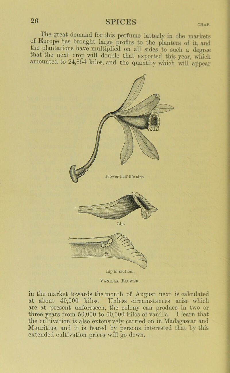CHAP. Hig great demand for this perfume latterly in the markets of Europe has brought large profits to the planters of it, and the plantations have multiplied on all sides to such a degree that the next crop will double that exported this year, which amounted to 24,854 kilos, and the quantity which will appear Lip. in the market towards the month of August next is calculated at about 40,000 kilos. Unless circumstances arise which are at present unforeseen, the colony can produce in two or three years from 50,000 to 60,000 kilos of vanilla. I learn that the cultivation is also extensively carried on in Madagascar and Mauritius, and it is feared by persons interested that by this extended cultivation prices will go down.