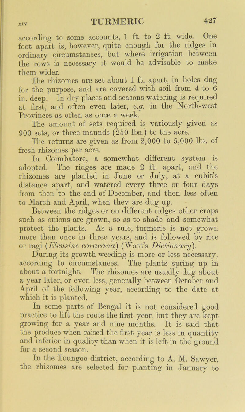 according to some accounts, 1 ft. to 2 ft. wide. One foot apart is, however, quite enough for the ridges in ordinary circumstances, but where irrigation between the rows is necessary it would be advisable to make them wider. The rhizomes are set about 1 ft. apart, in holes dug for the purpose, and are covered with soil from 4 to 6 in. deep. In dry places and seasons watering is required at first, and often even later, e.g. in the North-west Provinces as often as once a week. The amount of sets required is variously given as 900 sets, or three maunds (250 lbs.) to the acre. The returns are given as from 2,000 to 5,000 lbs. of fresh rhizomes per acre. In Coimbatore, a somewhat different system is adopted. The ridges are made 2 ft. apart, and the rhizomes are planted in June or July, at a cubit’s distance apart, and watered every three or four days from then to the end of December, and then less often to March and April, when they are dug up. Between the ridges or on different ridges other crops such as onions are grown, so as to shade and somewhat protect the plants. As a rule, turmeric is not grown more than once in three years, and is followed by rice or ragi (Eleusine coracana) (Watt’s Dictionary). During its growth weeding is more or less necessary, according to circumstances. The plants spring up in about a fortnight. The rhizomes are usually dug about a year later, or even less, generally between October and April of the following year, according to the date at which it is planted. In some parts of Bengal it is not considered good practice to lift the roots the first year, but they are kept growing for a year and nine months. It is said that the produce when raised the first year is less in quantity and inferior in quality than when it is left in the ground for a second season. In the Toungoo district, according to A. M. Sawyer, the rhizomes are selected for planting in January to