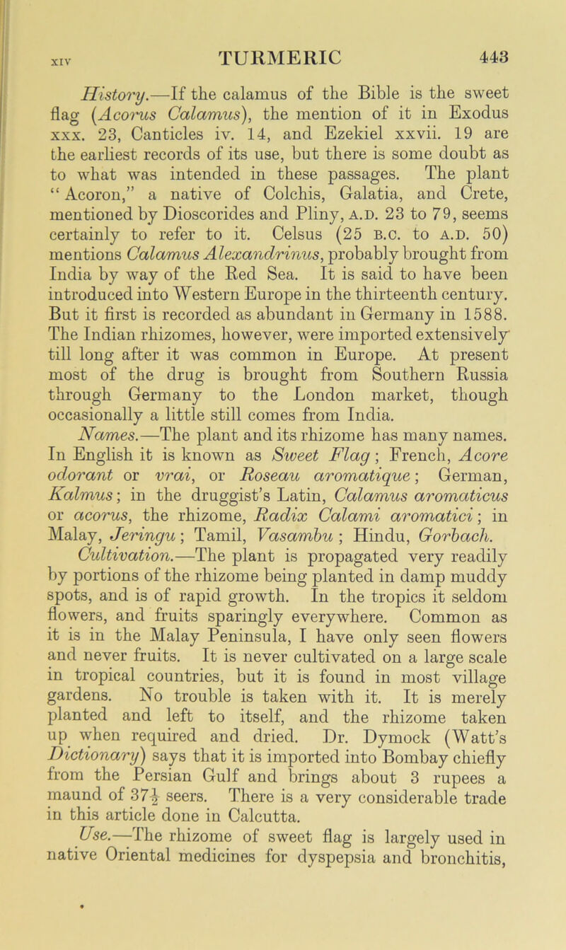 Histo7'y.—If the calamus of the Bible is the sweet flag (Acoi'us Calamus), the mention of it in Exodus xxx. 23, Canticles iv. 14, and Ezekiel xxvii. 19 are the earliest records of its use, but there is some doubt as to what was intended in these passages. The plant “ Acoron,” a native of Colchis, Galatia, and Crete, mentioned by Dioscorides and Pliny, a.d. 23 to 79, seems certainly to refer to it. Celsus (25 B.c. to a.d. 50) mentions Calamus Alexandrinus, probably brought from India by way of the Red Sea. It is said to have been introduced into Western Europe in the thirteenth century. But it first is recorded as abundant in Germany in 1588. The Indian rhizomes, however, were imported extensively till long after it was common in Europe. At present most of the drug is brought from Southern Russia through Germany to the London market, though occasionally a little still comes from India. Names.—The plant and its rhizome has many names. In English it is known as Siveet Flag; French, A core odorant or vrai, or Roseau aromatique; German, Kalmus; in the druggist’s Latin, Calamus aromaticus or acorus, the rhizome, Radix Calami aromatici; in Malay, Jeringu; Tamil, Vasambu ; Hindu, Gorbach. Cultivation.—The plant is propagated very readily by portions of the rhizome being planted in damp muddy spots, and is of rapid growth. In the tropics it seldom flowers, and fruits sparingly everywhere. Common as it is in the Malay Peninsula, I have only seen flowers and never fruits. It is never cultivated on a large scale in tropical countries, but it is found in most village gardens. No trouble is taken with it. It is merely planted and left to itself, and the rhizome taken up when required and dried. Dr. Dymock (Watt’s Dictionary) says that it is imported into Bombay chiefly from the Persian Gulf and brings about 3 rupees a maund of 37^ seers. There is a very considerable trade in this article done in Calcutta. Use.—The rhizome of sweet flag is largely used in native Oriental medicines for dyspepsia and bronchitis,