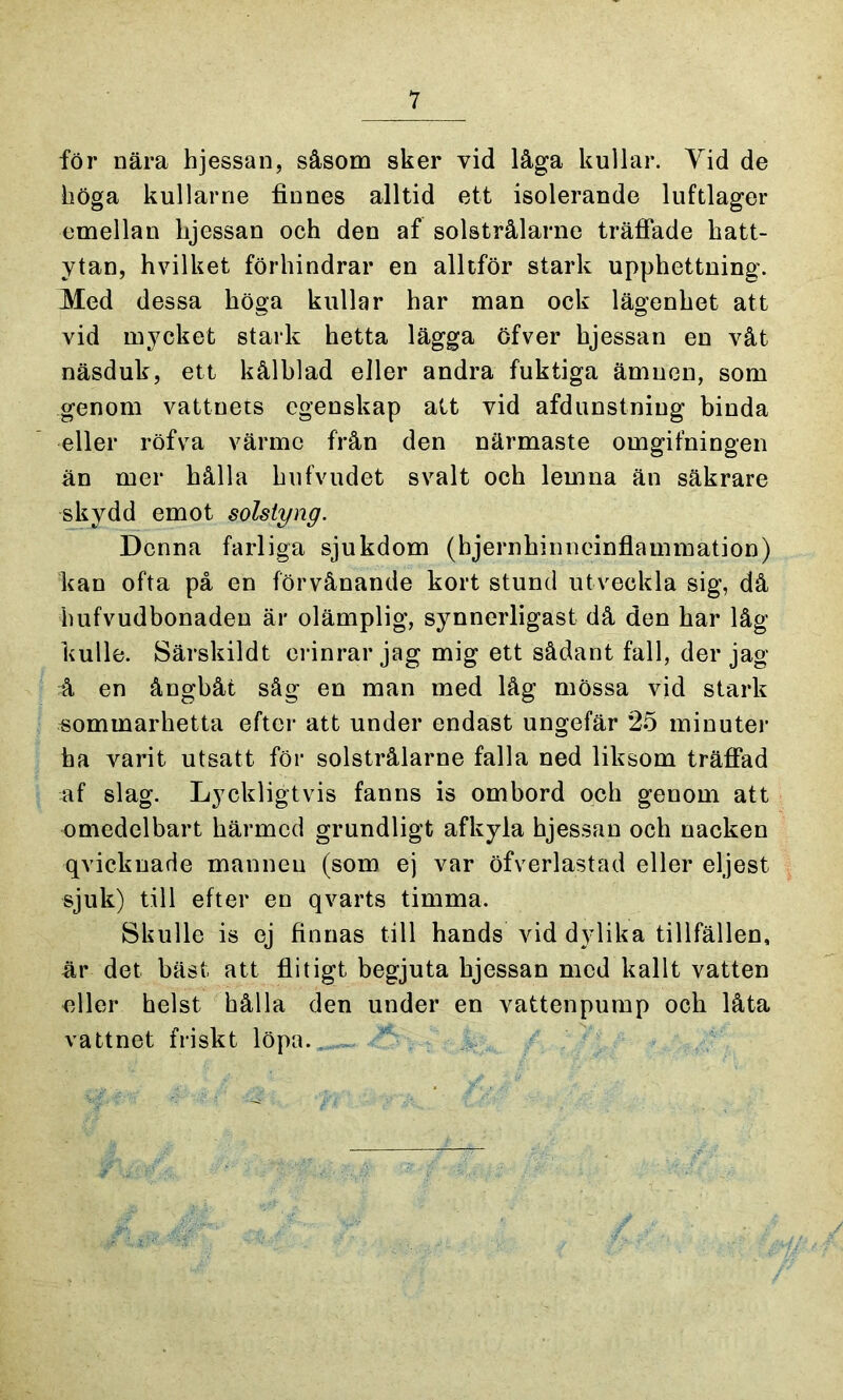 för nära hjessan, såsom sker vid låga kullar. Yid de höga kullarne finnes alltid ett isolerande luftlager emellan lijessan och den af solstrålarne träffade hatt- ytan, hvilket förhindrar en alltför stark upphettning. Med dessa höga kullar har man ock lägenhet att vid mycket stark hetta lägga öfver hjessan en våt näsduk, ett kålhlad eller andra fuktiga ämnen, som genom vattnets egenskap att vid afdunstniug binda eller röfva värme från den närmaste omgifningen än mer hålla hufvudet svalt och lemna än säkrare skydd emot solstyng. Denna farliga sjukdom (hjernhinneinflammation) kan ofta på en förvånande kort stund utveckla sig, då hufvudbonaden är olämplig, synnerligast då den har låg kulle. Särskild t erinrar jag mig ett sådant fall, der jag å en ångbåt såg en man med låg mössa vid stark rsommarhetta efter att under endast ungefär 25 minuter ha varit utsatt för solstrålarne falla ned liksom träffad af slag. Lyckligtvis fanns is ombord och genom att omedelbart härmed grundligt af kyla hjessan och nacken qvickuade mannen (som ej var öfverlastad eller eljest sjuk) till efter en qvarts timma. Skulle is ej finnas till hands vid dylika tillfällen, är det bäst att flitigt begjuta hjessan med kallt vatten edler helst hålla den under en vattenpump och låta vattnet friskt löpa.