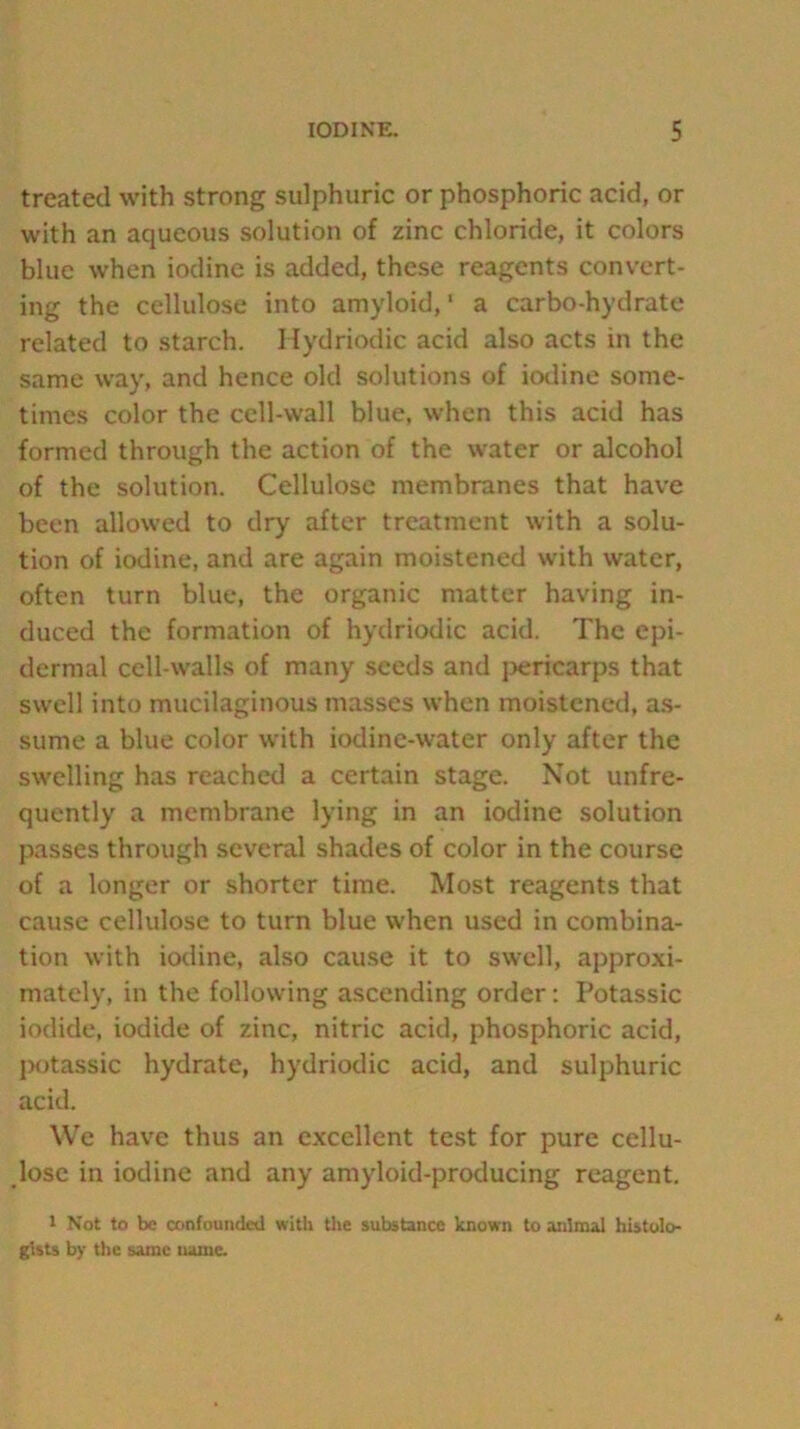 treated with strong sulphuric or phosphoric acid, or with an aqueous solution of zinc chloride, it colors blue when iodine is added, these reagents convert- ing the cellulose into amyloid,1 a carbo-hydrate related to starch. Hydriodic acid also acts in the same way, and hence old solutions of iodine some- times color the cell-wall blue, when this acid has formed through the action of the water or alcohol of the solution. Cellulose membranes that have been allowed to dry after treatment with a solu- tion of iodine, and are again moistened with water, often turn blue, the organic matter having in- duced the formation of hydriodic acid. The epi- dermal cell-walls of many seeds and pericarps that swell into mucilaginous masses when moistened, as- sume a blue color with iodine-water only after the swelling has reached a certain stage. Not unfre- quently a membrane lying in an iodine solution passes through several shades of color in the course of a longer or shorter time. Most reagents that cause cellulose to turn blue when used in combina- tion with iodine, also cause it to swell, approxi- mately, in the following ascending order: Potassic iodide, iodide of zinc, nitric acid, phosphoric acid, potassic hydrate, hydriodic acid, and sulphuric acid. We have thus an excellent test for pure cellu- lose in iodine and any amyloid-producing reagent. 1 Not to be confounded with the substance known to animal histolo- gists by the same name.