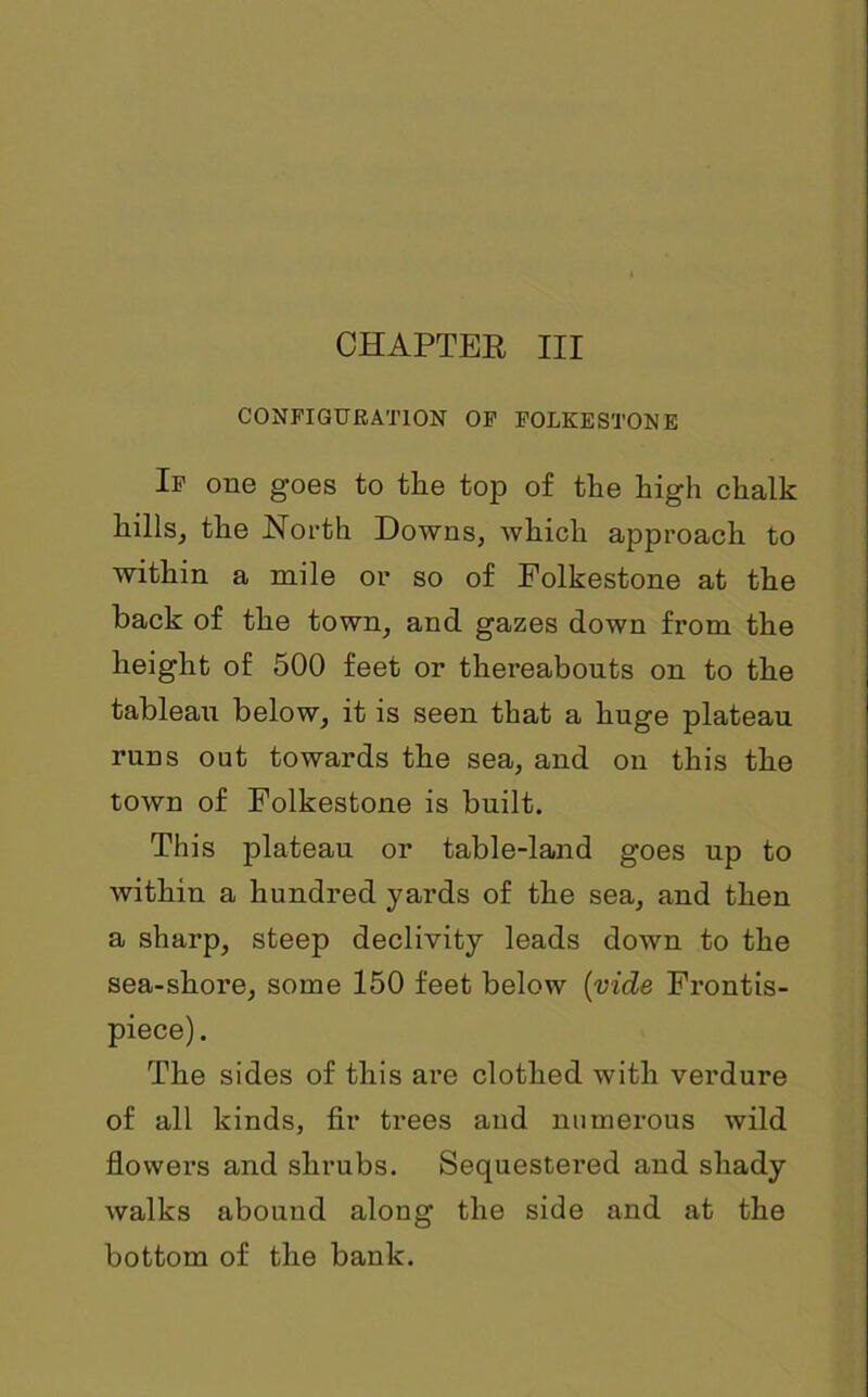 CONFIGURATION OF FOLKESTONE If one goes to the top of the high chalk hills, the North Downs, which approach to within a mile or so of Folkestone at the back of the town, and gazes down from the height of 500 feet or thereabouts on to the tableau below, it is seen that a huge plateau runs out towards the sea, and on this the town of Folkestone is built. This plateau or table-land goes up to within a hundred yards of the sea, and then a sharp, steep declivity leads down to the sea-shore, some 150 feet below (vide Frontis- piece). The sides of this are clothed with verdure of all kinds, fir trees and numerous wild flowers and shrubs. Sequestered and shady walks abound along the side and at the bottom of the bank.