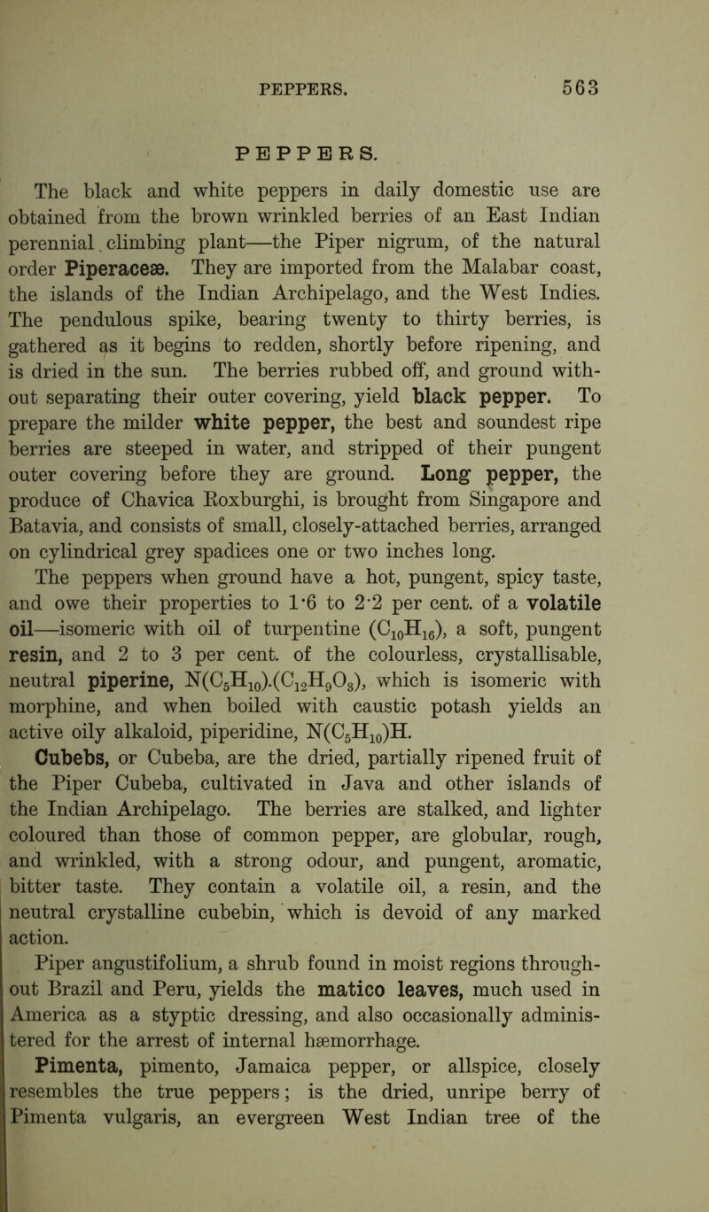 PEPPERS. The black and white peppers in daily domestic use are obtained from the brown wrinkled berries of an East Indian perennial. climbing plant—the Piper nigrum, of the natural order Piperacese. They are imported from the Malabar coast, the islands of the Indian Archipelago, and the West Indies. The pendulous spike, bearing twenty to thirty berries, is gathered as it begins to redden, shortly before ripening, and is dried in the sun. The berries rubbed off, and ground with- out separating their outer covering, yield black pepper. To prepare the milder white pepper, the best and soundest ripe berries are steeped in water, and stripped of their pungent outer covering before they are ground. Long pepper, the produce of Chavica Roxburghi, is brought from Singapore and Batavia, and consists of small, closely-attached berries, arranged on cylindrical grey spadices one or two inches long. The peppers when ground have a hot, pungent, spicy taste, and owe their properties to 1*6 to 2*2 per cent, of a volatile oil—isomeric with oil of turpentine (C10H16), a soft, pungent resin, and 2 to 3 per cent, of the colourless, crystallisable, neutral piperine, N(C5H10).(C12H9O3), which is isomeric with morphine, and when boiled with caustic potash yields an active oily alkaloid, piperidine, H(C5H10)H. Cubebs, or Cubeba, are the dried, partially ripened fruit of the Piper Cubeba, cultivated in Java and other islands of the Indian Archipelago. The berries are stalked, and lighter coloured than those of common pepper, are globular, rough, and wrinkled, with a strong odour, and pungent, aromatic, bitter taste. They contain a volatile oil, a resin, and the neutral crystalline cubebin, which is devoid of any marked action. Piper angustifolium, a shrub found in moist regions through- out Brazil and Peru, yields the matico leaves, much used in America as a styptic dressing, and also occasionally adminis- tered for the arrest of internal haemorrhage. Pimenta, pimento, Jamaica pepper, or allspice, closely resembles the true peppers; is the dried, unripe berry of Pimenta vulgaris, an evergreen West Indian tree of the