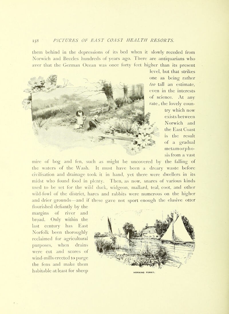 them behind in the depressions of its bed when it slowly receded from Norwich and Beccles hundreds of years ago. There are antiquarians who aver that the German Ocean was once forty teet higher than its present level, but that strikes one as beinof rather too tall an estimate, even in the interests of science. At any rate , the lovely coun- try which now exists between Norwich and the East Coast is the result of a gradual metamorpho- sis from a vast mire of bog and fen, such as might be uncovered by the falling of the waters of the Wash. It must have been a dreary waste before civilisation and drainage took it in hand, yet there were dwellers in its midst who found food in plenty. Then, as now, snares of various kinds used to be set lor the wild duck, widgeon, mallard, teal, coot, and other wild-fowl of the district, hares and rabbits were numerous on the higher and drier grounds—and if these gave not sport enough the elusive otter flourished defiantly by the margins of river and broad. Only within the last century has East Norfolk been thoroughly reclaimed for agricultural purposes, when drains were cut and scores of wind-mills erected to purge the fens and make them habitable at least for sheep HORNING FERRY.