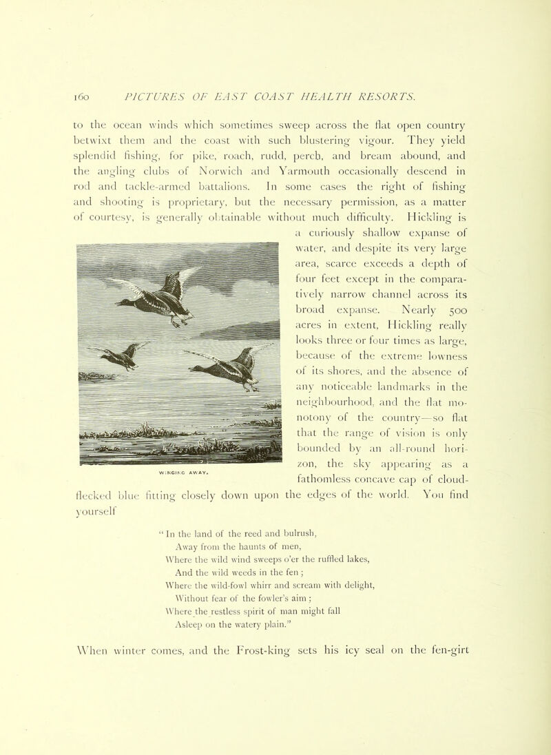 to the ocean winds which sometimes sweep across the flat open country betwixt them and the coast with such blustering vigour. They yield splendid fishing, for pike, roach, rudd, perch, and bream abound, and the angling clubs of Norwich and Yarmouth occasionally descend in rod and tackle-armed battalions. In some cases the rig-ht of fishing and shooting is proprietary, but the necessary permission, as a matter of courtesy, is generally obtainable without much difficulty. Hickling is a curiously shallow expanse of water, and despite its very large area, scarce exceeds a depth of four feet except in the compara- tively narrow channel across its broad expanse. Nearly 500 acres in extent, Hickling really looks three or four times as large, because of the extreme lowness of its shores, and the absence of any noticeable landmarks in the neighbourhood, and the flat mo- notony of the country—so flat that the range of vision is only bounded by an all-round hori- zon, the sky appearing as a fathomless concave cap of cloud- flecked blue fitting closely down upon the edges of the world. You find yourself “In the land of the reed and bulrush, Away from the haunts of men, Where the wild wind sweeps o’er the ruffled lakes, And the wild weeds in the fen ; Where the wild-fowl whirr and scream with delight, Without fear of the fowler’s aim ; Where the restless spirit of man might fall Asleep on the watery plain.” When winter comes, and the Frost-king sets his icy seal on the fen-girt