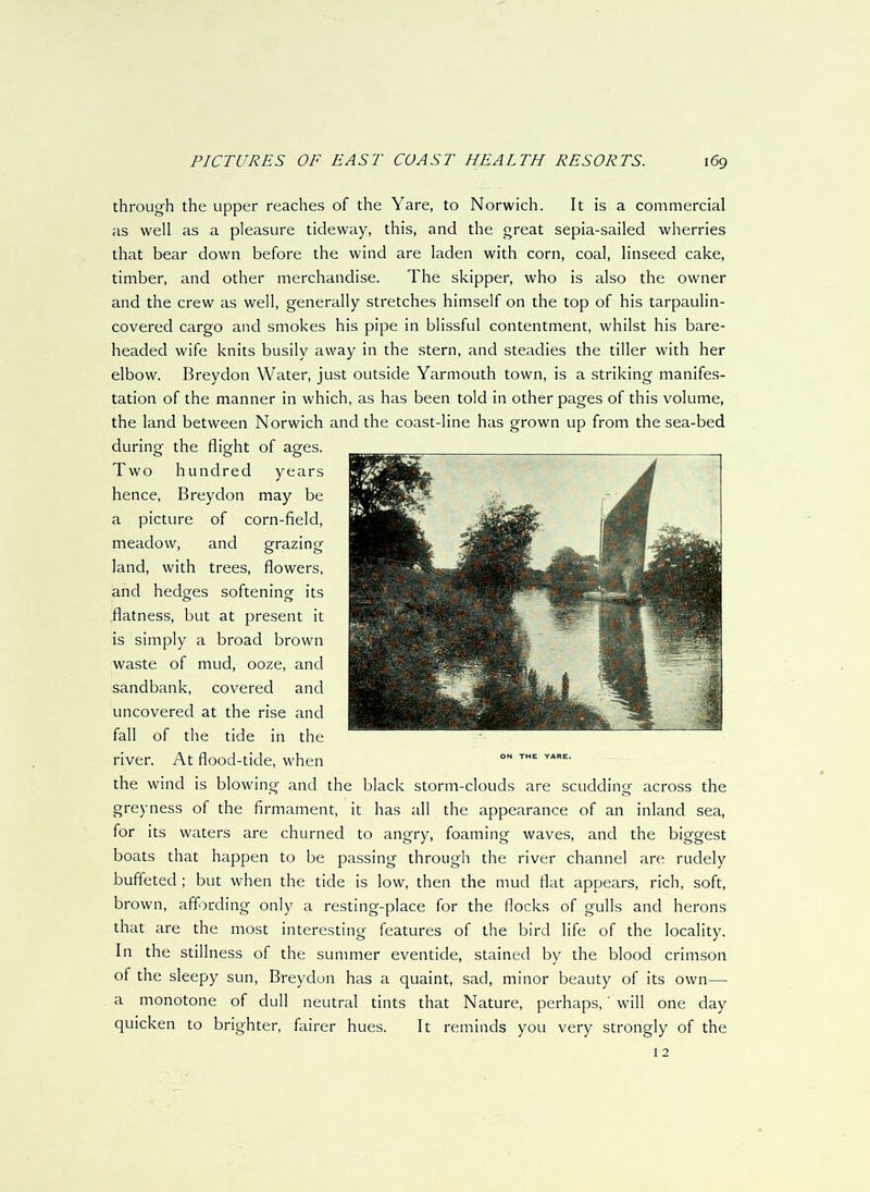 through the upper reaches of the Yare, to Norwich. It is a commercial as well as a pleasure tideway, this, and the great sepia-sailed wherries that bear down before the wind are laden with corn, coal, linseed cake, timber, and other merchandise. The skipper, who is also the owner and the crew as well, generally stretches himself on the top of his tarpaulin- covered cargo and smokes his pipe in blissful contentment, whilst his bare- headed wife knits busily away in the stern, and steadies the tiller with her elbow. Breydon Water, just outside Yarmouth town, is a striking manifes- tation of the manner in which, as has been told in other pages of this volume, the land between Norwich and the coast-line has grown up from the sea-bed during the flight of ages. Two hundred years hence, Breydon may be a picture of corn-field, meadow, and grazing land, with trees, flowers, and hedges softening its flatness, but at present it is simply a broad brown waste of mud, ooze, and sandbank, covered and uncovered at the rise and fall of the tide in the river. At flood-tide, when the wind is blowing and the black storm-clouds are scudding across the greyness of the firmament, it has all the appearance of an inland sea, for its waters are churned to angry, foaming waves, and the biggest boats that happen to be passing through the river channel are rudely buffeted ; but when the tide is low, then the mud flat appears, rich, soft, brown, affording only a resting-place for the flocks of gulls and herons that are the most interesting features of the bird life of the locality. In the stillness of the summer eventide, stained by the blood crimson of the sleepy sun, Breydon has a quaint, sad, minor beauty of its own—- a monotone of dull neutral tints that Nature, perhaps,' will one day quicken to brighter, fairer hues. It reminds you very strongly of the