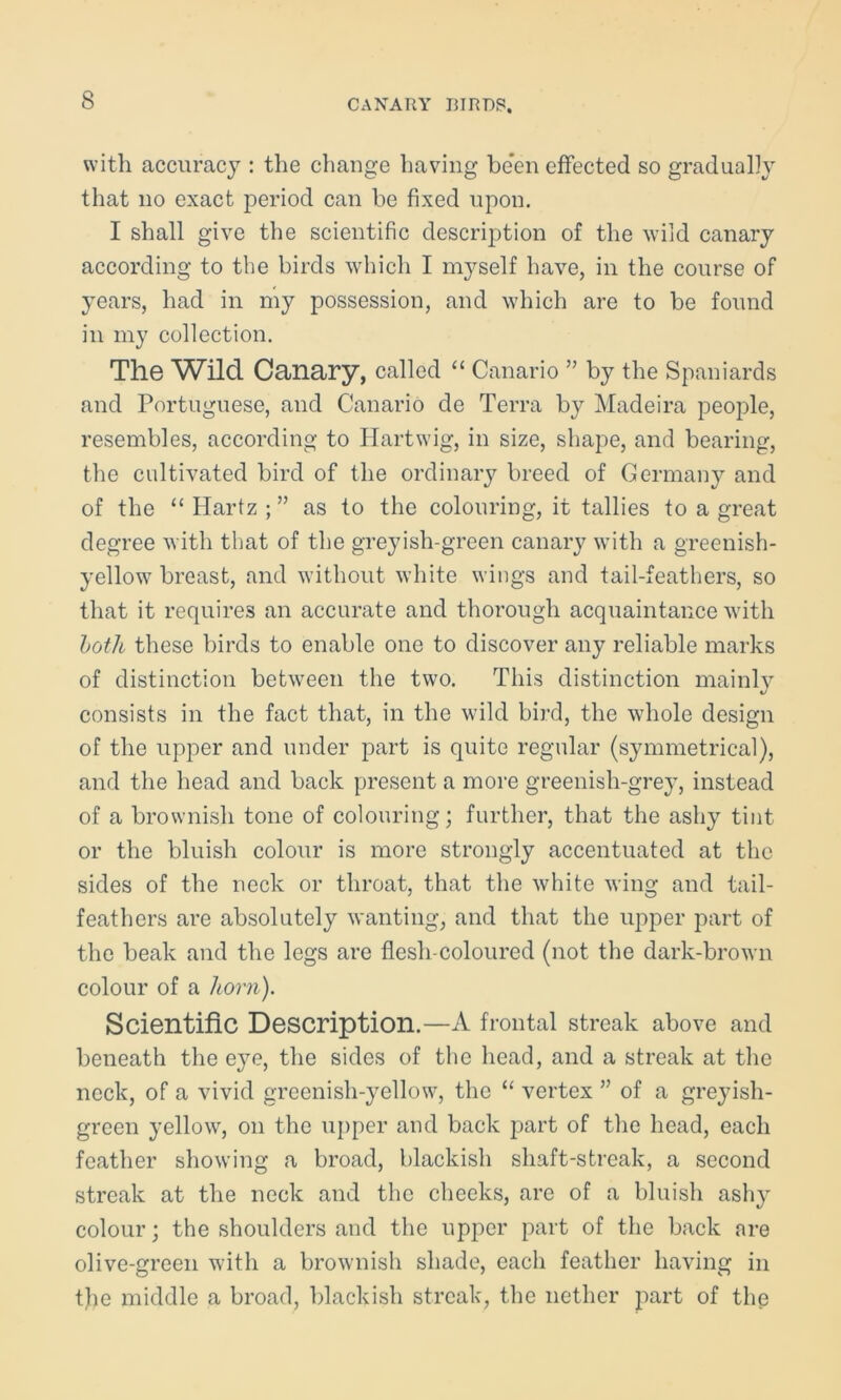 with accuracy : the change having be’en effected so gradually that no exact period can be fixed upon. I shall give the scientific description of the wild canary according to the birds which I myself have, in the course of years, had in my possession, and which are to be found in my collection. The Wild Canary, called “ Canario ” by the Spaniards and Portuguese, and Canario de Terra by Madeira people, resembles, according to Hartwig, in size, shape, and bearing, the cultivated bird of the ordinary breed of Germany and of the “Hartz;” as to the colouring, it tallies to a great degree with that of the greyish-green canary with a greenish- yellow breast, and without white wings and tail-feathers, so that it requires an accurate and thorough acquaintance with both these birds to enable one to discover any reliable marks of distinction between the two. This distinction mainly consists in the fact that, in the wild bird, the whole design of the upper and under part is quite regular (symmetrical), and the head and back present a more greenish-grey, instead of a brownish tone of colouring; further, that the ashy tint or the bluish colour is more strongly accentuated at the sides of the neck or throat, that the white wing and tail- feathers are absolutely wanting, and that the upper part of the beak and the legs are flesh-coloured (not the dark-brown colour of a horn). Scientific Description.—A frontal streak above and beneath the eye, the sides of the head, and a streak at the neck, of a vivid greenish-yellow, the “ vertex ” of a greyish- green yellow, on the upper and back part of the head, each feather showing a broad, blackish shaft-streak, a second streak at the neck and the cheeks, are of a bluish ashy colour; the shoulders and the upper part of the back are olive-green with a brownish shade, each feather having in the middle a broad, blackish streak, the nether part of thp