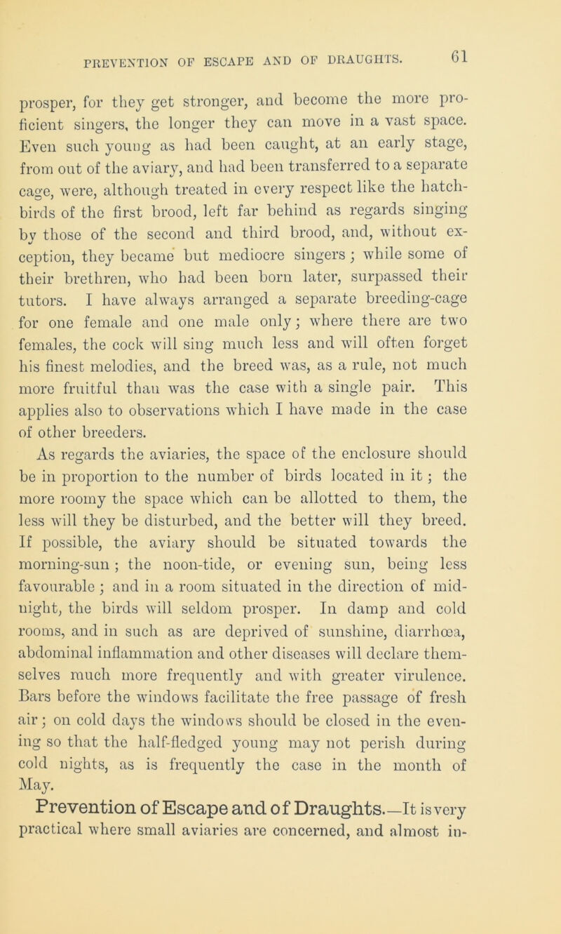 PREVENTION OF ESCAPE AND OF DRAUGHTS. G1 prosper, for they get stronger, and become the more pro- ficient singers, the longer they can move in a vast space. Even such young as had been caught, at an early stage, from out of the aviary, and had been transferred to a separate cage, were, although treated in every respect like the hatch- birds of the first brood, left far behind as regards singing bv those of the second and third brood, and, without ex- ception, they became but mediocre singers; while some of their brethren, who had been born later, surpassed their tutors. I have always arranged a separate breeding-cage for one female and one male only; where there are two females, the cock will sing much less and will often forget his finest melodies, and the breed was, as a rule, not much more fruitful than was the case with a single pair. This applies also to observations which I have made in the case of other breeders. As regards the aviaries, the space of the enclosure should be in proportion to the number of birds located in it ; the more roomy the space which can be allotted to them, the less will they be disturbed, and the better will they breed. If possible, the aviary should be situated towards the morning-sun ; the noon-tide, or evening sun, being less favourable; and in a room situated in the direction of mid- night, the birds will seldom prosper. In damp and cold rooms, and in such as are deprived of sunshine, diarrhoea, abdominal inflammation and other diseases will declare them- selves much more frequently and with greater virulence. Bars before the windows facilitate the free passage of fresh air; on cold days the windows should be closed in the even- ing so that the half-fledged young may not perish during cold nights, as is frequently the case in the month of May. Prevention of Escape and of Draughts. —It is very practical where small aviaries are concerned, and almost in-