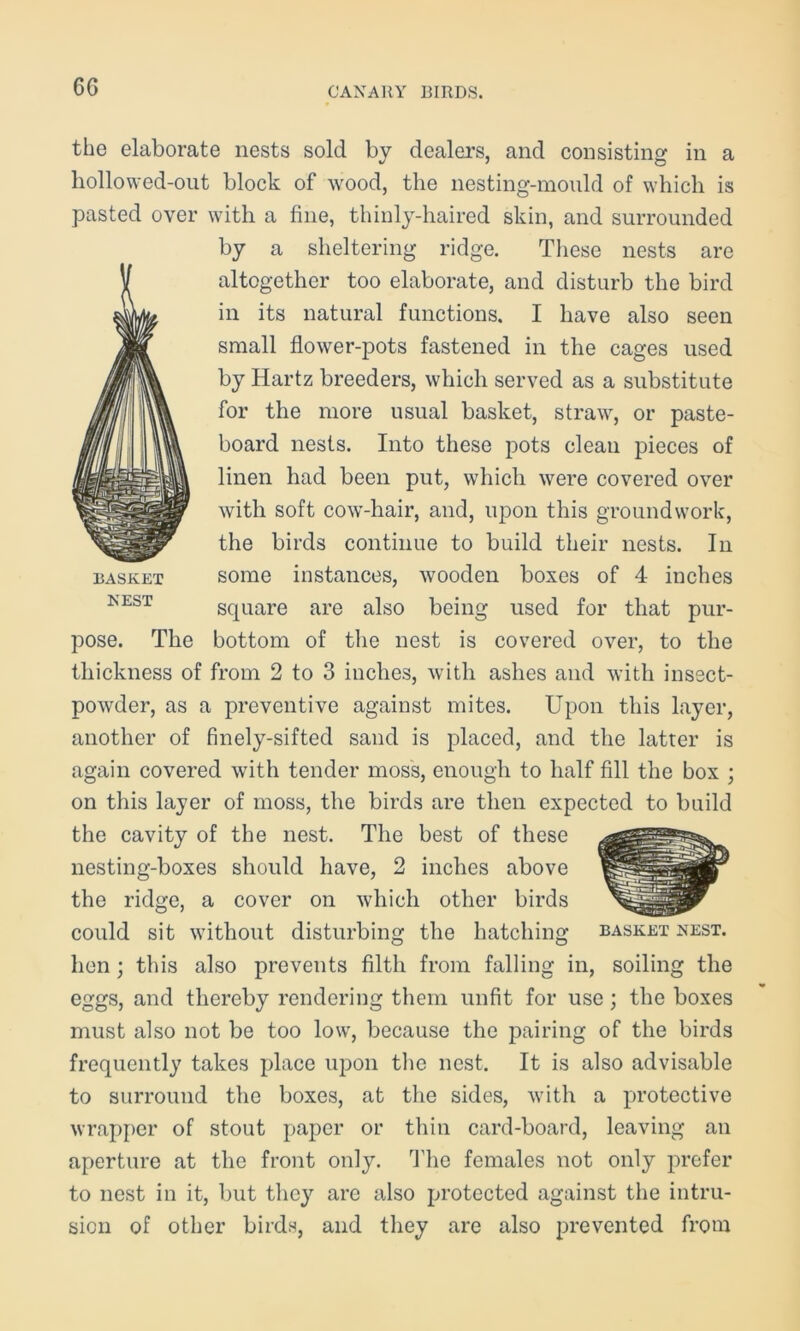 6G the elaborate nests sold by dealers, and consisting in a hollowed-out block of wood, the nesting-mould of which is pasted over with a fine, thinly-haired skin, and surrounded by a sheltering ridge. These nests are altogether too elaborate, and disturb the bird in its natural functions. I have also seen small flower-pots fastened in the cages used by Hartz breeders, which served as a substitute for the more usual basket, straw, or paste- board nests. Into these pots clean pieces of linen had been put, which were covered over with soft cow-hair, and, upon this groundwork, the birds continue to build their nests. In basket some instances, wooden boxes of 4 inches nest square are also being used for that pur- pose. The bottom of the nest is covered over, to the thickness of from 2 to 3 inches, with ashes and with insect- powder, as a preventive against mites. Upon this layer, another of finely-sifted sand is placed, and the latter is again covered with tender moss, enough to half fill the box ; on this layer of moss, the birds are then expected to build the cavity of the nest. The best of these nesting-boxes should have, 2 inches above the ridge, a cover on which other birds could sit without disturbing the hatching basket nest. hen; this also prevents filth from falling in, soiling the eggs, and thereby rendering them unfit for use; the boxes must also not be too low, because the pairing of the birds frequently takes place upon the nest. It is also advisable to surround the boxes, at the sides, with a protective wrapper of stout paper or thin card-board, leaving an aperture at the front only. The females not only prefer to nest in it, but they are also protected against the intru- sion of other birds, and they are also prevented from