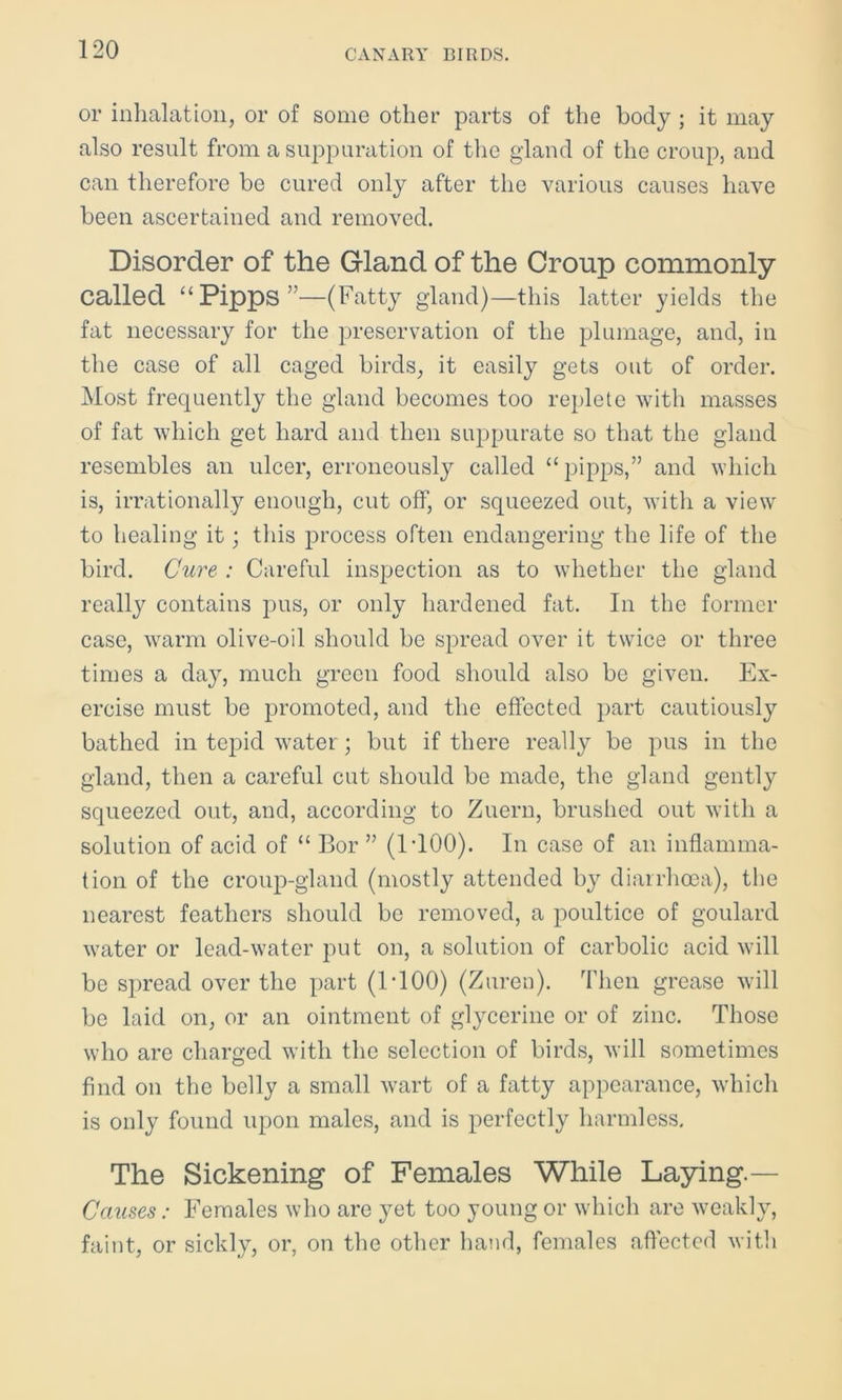 or inhalation, or of some other parts of the body ; it may also result from a suppuration of the gland of the croup, and can therefore be cured only after the various causes have been ascertained and removed. Disorder of the Gland of the Croup commonly called “ Pipps ”—(Fatty gland)—this latter yields the fat necessary for the preservation of the plumage, and, in the case of all caged birds, it easily gets out of order. Most frequently the gland becomes too replete with masses of fat which get hard and then suppurate so that the gland resembles an ulcer, erroneously called “ pipps,” and which is, irrationally enough, cut off, or squeezed out, with a view to healing it; this process often endangering the life of the bird. Cure : Careful inspection as to whether the gland really contains pus, or only hardened fat. In the former case, warm olive-oil should be spread over it twice or three times a day, much green food should also be given. Ex- ercise must be promoted, and the effected part cautiously bathed in tepid water; but if there really be pus in the gland, then a careful cut should be made, the gland gently squeezed out, and, according to Zuern, brushed out with a solution of acid of “ Bor ” (1T00). In case of an inflamma- tion of the croup-gland (mostly attended by diarrhoea), the nearest feathers should be removed, a poultice of goulard water or lead-water put on, a solution of carbolic acid will be spread over the part (1T00) (Zuren). Then grease will be laid on, or an ointment of glycerine or of zinc. Those who are charged with the selection of birds, will sometimes find on the belly a small wart of a fatty appearance, which is only found upon males, and is perfectly harmless. The Sickening of Females While Laying.— Causes: Females who are yet too young or which are weakly, faint, or sickly, or, on the other hand, females affected with