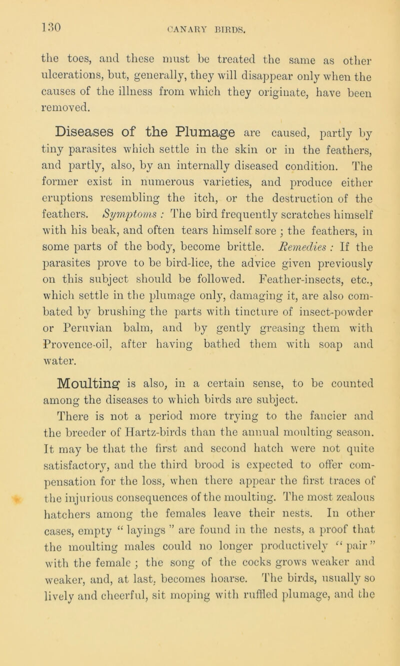 the toes, and these must be treated the same as other ulcerations, but, generally, they will disappear only when the causes of the illness from which they originate, have been removed. Diseases of the Plumage are caused, partly by tiny parasites which settle in the skin or in the feathers, and partly, also, by an internally diseased condition. The former exist in numerous varieties, and produce either eruptions resembling the itch, or the destruction of the feathers. Symptoms : The bird frequently scratches himself with his beak, and often tears himself sore ; the feathers, in some parts of the bod}r, become brittle. Remedies : If the parasites prove to be bird-lice, the advice given previously on this subject should be followed. Feather-insects, etc., which settle in the plumage onl}r, damaging it, are also com- bated by brushing the parts with tincture of insect-powder or Peruvian balm, and by gently greasing them with Provence-oil, after having bathed them with soap and water. Moulting is also, in a certain sense, to be counted among the diseases to which birds are subject. There is not a period more trying to the fancier and the breeder of Hartz-birds than the annual moulting season. It may be that the first and second hatch were not quite satisfactory, and the third brood is expected to offer com- pensation for the loss, when there appear the first traces of the injurious consequences of the moulting. The most zealous hatchers among the females leave their nests. In other cases, empty “ layings ” are found in the nests, a proof that the moulting males could no longer productively pair” with the female ; the song of the cocks grows weaker and weaker, and, at last, becomes hoarse. The birds, usually so lively and cheerful, sit moping with ruffled plumage, and the