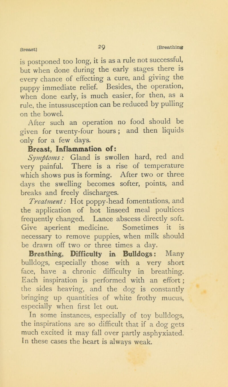 Breast] is postponed too long, it is as a rule not successful, but when done during the early stages there is every chance of effecting a cure, and giving the puppy immediate relief. Besides, the operation, when done early, is much easier, for then, as a rule, the intussusception can be reduced by pulling on the bowel. After such an operation no food should be given for twenty-four hours ; and then liquids only for a few days. Breast, Inflammation of: Symptoms: Gland is swollen hard, red and very painful. There is a rise of temperature which shows pus is forming. After two or three days the swelling becomes softer, points, and breaks and freely discharges. Treatment: Hot poppy-head fomentations, and the application of hot linseed meal poultices frequently changed. Lance abscess directly soft. Give aperient medicine. Sometimes it is necessary to remove puppies, when milk should be drawn off two or three times a day. Breathing, Difficulty in Bulldogs: Many bulldogs, especially those with a very short face, have a chronic difficulty in breathing. Each inspiration is performed with an effort; the sides heaving, and the dog is constantly bringing up quantities of white frothy mucus, especially when first let out. In some instances, especially of toy bulldogs, the inspirations are so difficult that if a dog gets much excited it may fall over partly asphyxiated. In these cases the heart is always weak.