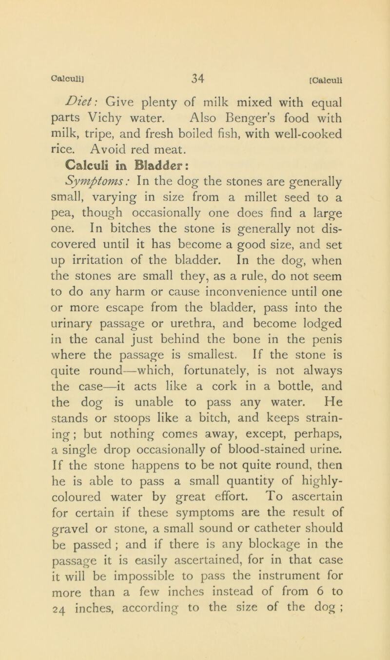 Diet: Give plenty of milk mixed with equal parts Vichy water. Also Benger’s food with milk, tripe, and fresh boiled fish, with well-cooked rice. Avoid red meat. Calculi in Bladder: Symptoms: In the dog the stones are generally small, varying in size from a millet seed to a pea, though occasionally one does find a large one. In bitches the stone is generally not dis- covered until it has become a good size, and set up irritation of the bladder. In the dog, when the stones are small they, as a rule, do not seem to do any harm or cause inconvenience until one or more escape from the bladder, pass into the urinary passage or urethra, and become lodged in the canal just behind the bone in the penis where the passage is smallest. If the stone is quite round—which, fortunately, is not always the case—it acts like a cork in a bottle, and the dog is unable to pass any water. He stands or stoops like a bitch, and keeps strain- ing ; but nothing comes away, except, perhaps, a single drop occasionally of blood-stained urine. If the stone happens to be not quite round, then he is able to pass a small quantity of highly- coloured water by great effort. To ascertain for certain if these symptoms are the result of gravel or stone, a small sound or catheter should be passed ; and if there is any blockage in the passage it is easily ascertained, for in that case it will be impossible to pass the instrument for more than a few inches instead of from 6 to 24 inches, according to the size of the dog ;