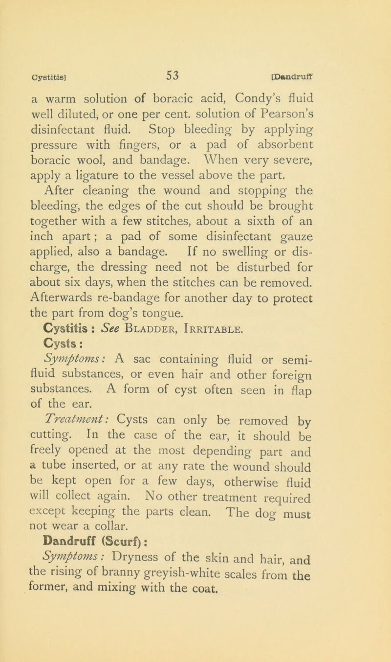 Cystitis] a warm solution of boracic acid, Condy’s fluid well diluted, or one per cent, solution of Pearson’s disinfectant fluid. Stop bleeding- by applying pressure with fingers, or a pad of absorbent boracic wool, and bandage. When very severe, apply a ligature to the vessel above the part. After cleaning the wound and stopping the bleeding, the edges of the cut should be brought together with a few stitches, about a sixth of an inch apart; a pad of some disinfectant gauze applied, also a bandage. If no swelling or dis- charge, the dressing need not be disturbed for about six days, when the stitches can be removed. Afterwards re-bandage for another day to protect the part from dog’s tongue. Cystitis : See Bladder, Irritable. Cysts: Symptoms: A sac containing fluid or semi- fluid substances, or even hair and other foreign substances. A form of cyst often seen in flap of the ear. Treatment: Cysts can only be removed by cutting. In the case of the ear, it should be freely opened at the most depending part and a tube inserted, or at any rate the wound should be kept open for a few days, otherwise fluid will collect again. No other treatment required except keeping the parts clean. The dog must not wear a collar. Dandruff (Scurf): Symptoms: Dryness of the skin and hair, and the rising of branny greyish-white scales from the former, and mixing with the coat.