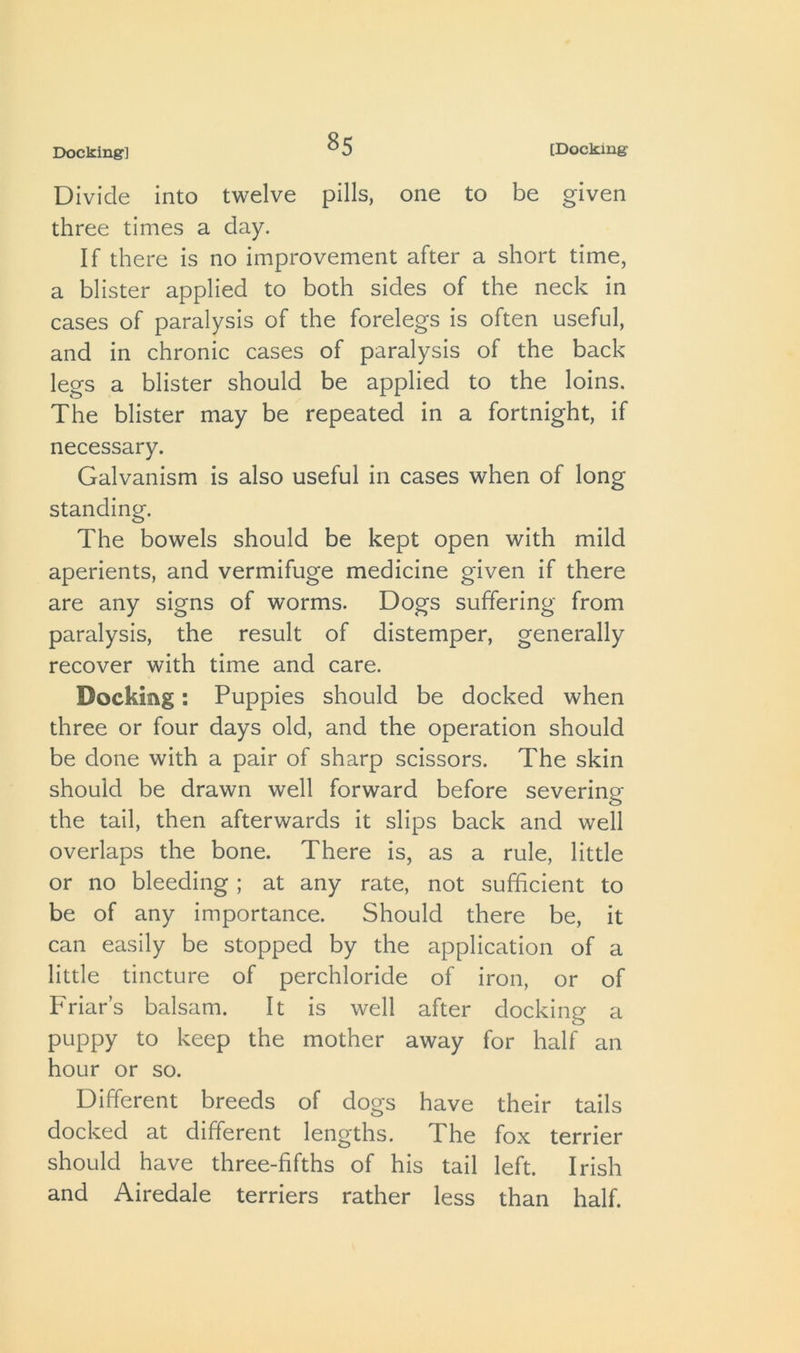 Divide into twelve pills, one to be given three times a day. If there is no improvement after a short time, a blister applied to both sides of the neck in cases of paralysis of the forelegs is often useful, and in chronic cases of paralysis of the back legs a blister should be applied to the loins. The blister may be repeated in a fortnight, if necessary. Galvanism is also useful in cases when of long standing. The bowels should be kept open with mild aperients, and vermifuge medicine given if there are any signs of worms. Dogs suffering from paralysis, the result of distemper, generally recover with time and care. Docking: Puppies should be docked when three or four days old, and the operation should be done with a pair of sharp scissors. The skin should be drawn well forward before severing the tail, then afterwards it slips back and well overlaps the bone. There is, as a rule, little or no bleeding ; at any rate, not sufficient to be of any importance. Should there be, it can easily be stopped by the application of a little tincture of perchloride of iron, or of Friar’s balsam. It is well after docking a puppy to keep the mother away for half an hour or so. Different breeds of dogs have their tails docked at different lengths. The fox terrier should have three-fifths of his tail left. Irish and Airedale terriers rather less than half.