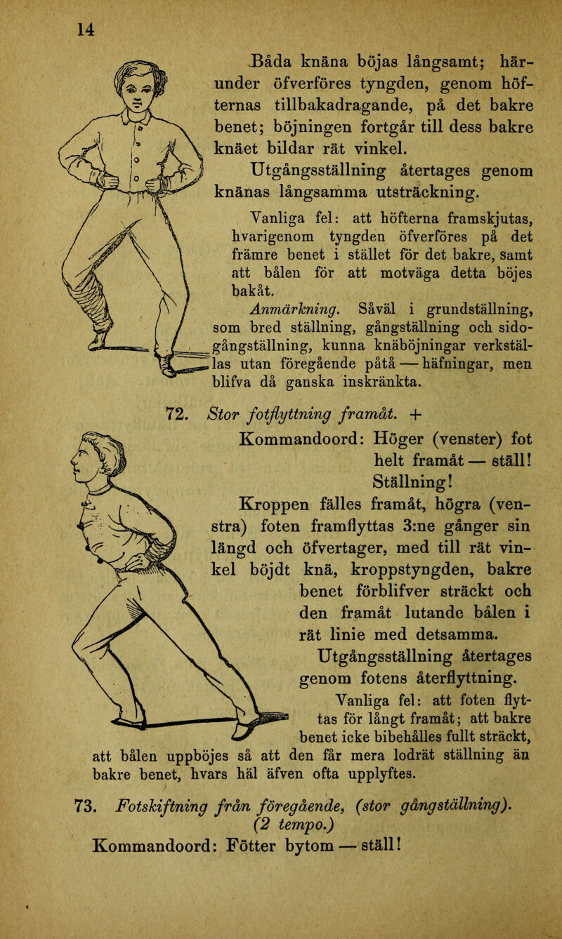 Båda knäna böjas långsamt; här- under öfverföres tyngden, genom höf- ternas tillbakadragande, på det bakre benet; böjningen fortgår till dess bakre knäet bildar rät vinkel. Utgångsställning återtages genom knänas långsamma utsträckning. Vanliga fel: att höfterna framskjutas, hvarigenom tyngden öfverföres på det främre benet i stället för det bakre, samt att bålen för att mot väga detta böjes bakåt. Anmärkning. Såväl i grundställning, som bred ställning, gångställning och sido- gångställning, kunna knäböjningar verkstäl- las utan föregående påtå — häfningar, men blifva då ganska inskränkta. 72. Stor fotflyttning framåt. + Kommandoord: Höger (venster) fot helt framåt — ställ! Ställning! Kroppen fälles framåt, högra (ven- stra) foten framflyttas 3:ne gånger sin längd och öfvertager, med till rät vin- kel böjdt knä, kroppstyngden, bakre benet förblifver sträckt och den framåt lutande bålen i rät linie med detsamma. Utgångsställning återtages genom fotens återflyttning. Vanliga fel: att foten flyt- tas för långt framåt; att bakre benet icke bibehålies fullt sträckt, att bålen uppböjes så att den får mera lodrät ställning än bakre benet, hvars häl äfven ofta upplyftes. 73. Fotskiftning från föregående, (stor gång ställning). (2 tempo.) Kommandoord: Fotter bytom — ställ!