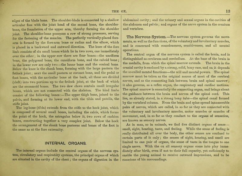 edges of the blade bone. The shoulder-blade is connected by a shallow articular foss with the joint head of the second bone, the shoulder- bone, the foundation of the upper arm, thereby forming the shoulder joint. The shoulder-bone possesses a row of strong processes, serving for the fastening of the muscles. The perfectly vertically-placed fore- arm is formed by the fore-arm bone or radius and the elbow, which is placed in a backward and outward direction. The knee of the fore limb consists of six small bones which lie in two rows, one immediately over the other; in the upper row there are four bones—the unciform bone, the polygonal bone, the cuneiform bone, and the cuboid bone ; in the lower row are only two—the lunar bone and the conical bone. Below the knee is the shank bone, forming with the large pastern the I fetlock joint; next the small pastern or coronet bone, and the pedal or foot bones, with the navicular bone at the back, all these are divided (cleft) into two portions up to the fetlock joint, at the back of which are the sessamoid bones. The two dew claws contain small irregular bones, which are not connected with the skeleton. The hind limbs consist of the following bones:—The upper thigh bone, joined to the pelvis, and forming at its lower end, with the tibia and patella, the stifle joint. The leg-bone (tibia) extends from the stifle to the hock joint, which is composed of several small bones, including the calcis, which forms the point of the hock, the astragalus below it, two rows of cushion bones, constructing together a very complex joint. Below the hock the arrangement of the shank bone pasterns and bones of the foot is the same as at the fore extremity. INTERNAL ORGANS. The internal organs include the central organs of the nervous sys- tem, circulatory and respiratory systems, the principal organs of which are situated in the cavity of the chest; the organs of digestion in the abdominal cavity; and the urinary and sexual organs in the cavities of the abdomen and pelvis; and organs of the nerve system in the cranium and vertebrse. The NerVOUS System.—The nervous system governs the move- ments, as well as the functions, of the voluntary and involuntary muscles, and is concerned with consciousness, sensitiveness, and all mental operations. The central organ of the nervous system is called the brain, and is distinguished as cerebrum and cerebellum. At the base of the brain is the medulla, from which the spinal marrow extends. The brain in the cranial cavity is enclosed by a strong, solid, bony case, and on it depends the so-called mental functions—the will and mental powers. The spinal marrow must be taken as the original source of most of the cerebral nerves, and as the connecting link between brain and spinal marrow; it also governs, as a reflex organ, the respiratory and cardiac motions. The spinal marrow is essentially the connecting organ, and brings about the guidance between the brain and nerves of the spinal cord. This lies, as already stated, in a strong bony tube—the spinal canal formed by the vertebral column. From the brain and spine spread innumerable pairs of nerves, which are called, in so far as they are connected with the voluntary and involuntary muscles, motor muscles or muscles of movement, and, in so far as they conduct to the organs of sensation, are known as sensory nerves. As in man, so in animals, we find five distinct organs of sense— smell, sight, hearing, taste, and feeling. While the sense of feeling is really distributed all over the body, the other senses are confined to certain parts of it only; the senses of sight, hearing, and smell are limited to one pair of organs, the sense of taste in the tongue to one single nerve. With the ox all sensory organs come into play imme- diately after birth, even if not to their full capacity, yet sufficiently to enable the young animal to receive outward impressions, and to be conscious of his surroundings.