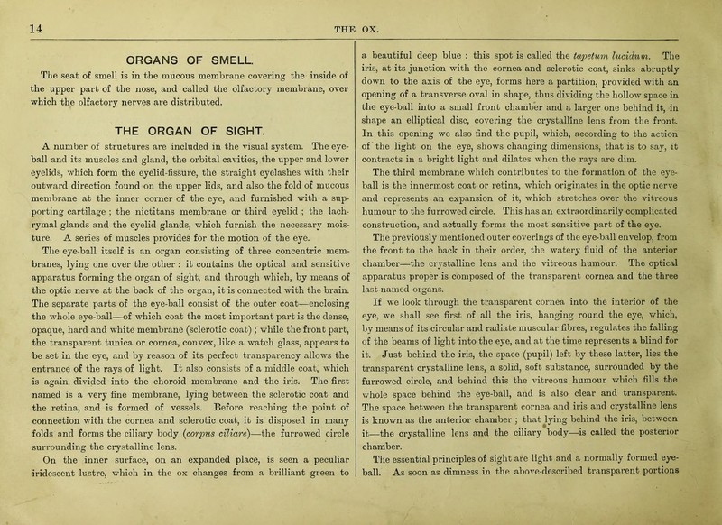 ORGANS OF SMELL The seat of smell is in the mucous membrane covering the inside of the upper part of the nose, and called the olfactory membrane, over which the olfactory nerves are distributed. THE ORGAN OF SIGHT. A number of structures are included in the visual system. The eye- ball and its muscles and gland, the orbital cavities, the upper and lower eyelids, which form the eyelid-fissure, the straight eyelashes with their outward direction found on the upper lids, and also the fold of mucous membrane at the inner corner of the eye, and furnished with a sup- porting cartilage ; the nictitans membrane or third eyelid ; the lach- rymal glands and the eyelid glands, which furnish the necessary mois- ture. A series of muscles provides for the motion of the eye. The eye-ball itself is an organ consisting of three concentric mem- branes, lying one over the other : it contains the optical and sensitive apparatus forming the organ of sight, and through which, by means of the optic nerve at the back of the organ, it is connected with the brain. The separate parts of the eye-ball consist of the outer coat—enclosing the whole eye-ball—of which coat the most important part is the dense, opaque, hard and white membrane (sclerotic coat); while the front part, the transparent tunica or cornea, convex, like a watch glass, appears to be set in the eye, and by reason of its perfect transparency allows the entrance of the rays of light. It also consists of a middle coat, which is again divided into the choroid membrane and the iris. The first named is a very fine membrane, lying between the sclerotic coat and the retina, and is formed of vessels. Before reaching the point of connection with the cornea and sclerotic coat, it is disposed in many folds and forms the ciliary body (corpus ciliare)—the furrowed circle surrounding the crystalline lens. On the inner surface, on an expanded place, is seen a peculiar iridescent lustre, which in the ox changes from a brilliant green to a beautiful deep blue : this spot is called the tapetum lucidum. The iris, at its junction with the cornea and sclerotic coat, sinks abruptly down to the axis of the eye, forms here a partition, provided with an opening of a transverse oval in shape, thus dividing the hollow space in the eye-ball into a small front chamber and a larger one behind it, in shape an elliptical disc, covering the crystalline lens from the front. In this opening we also find the pupil, which, according to the action of the light on the eye, shows changing dimensions, that is to say, it contracts in a bright light and dilates when the rays are dim. The third membrane which contributes to the formation of the eye- ball is the innermost coat or retina, which originates in the optic nerve and represents an expansion of it, which stretches over the vitreous humour to the furrowed circle. This has an extraordinarily complicated construction, and actually forms the most sensitive part of the eye. The previously mentioned outer coverings of the eye-ball envelop, from the front to the back in their order, the watery fluid of the anterior chamber—the crystalline lens and the vitreous humour. The optical apparatus proper is composed of the transparent cornea and the three last-named organs. If we look through the transparent cornea into the interior of the eye, we shall see first of all the iris, hanging round the eye, which, by means of its circular and radiate muscular fibres, regulates the falling of the beams of light into the eye, and at the time represents a blind for it. Just behind the iris, the space (pupil) left by these latter, lies the transparent crystalline lens, a solid, soft substance, surrounded by the furrowed circle, and behind this the vitreous humour which fills the whole space behind the eye-ball, and is also clear and transparent. The space between the transparent cornea and iris and crystalline lens is known as the anterior chamber j that lying behind the iris, between it—the crystalline lens and the ciliary body—is called the posterior chamber. The essential principles of sight are light and a normally formed eye- ball. As soon as dimness in the above-described transparent portions