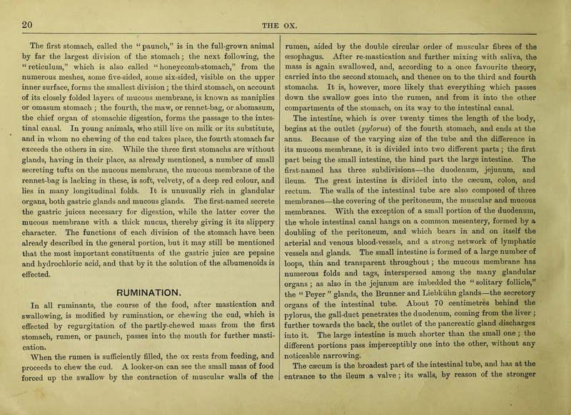 The first stomach, called the “ paunch,” is in the full-grown animal by far the largest division of the stomach; the next following, the “ reticulum,” which is also called “ honeycomb-stomach,” from the numerous meshes, some five-sided, some six-sided, visible on the upper inner surface, forms the smallest division; the third stomach, on account of its closely folded layers of mucous membrane, is known as maniplies or omasum stomach ; the fourth, the maw, or rennet-bag, or abomasum, the chief organ of stomachic digestion, forms the passage to the intes- tinal canal. In young animals, who still live on milk or its substitute, and in whom no chewing of the cud takes place, the fourth stomach far exceeds the others in size. While the three first stomachs are without glands, having in their place, as already mentioned, a number of small secreting tufts on the mucous membrane, the mucous membrane of the rennet-bag is lacking in these, is soft, velvety, of a deep red colour, and lies in many longitudinal folds. It is unusually rich in glandular organs, both gastric glands and mucous glands. The first-named secrete the gastric juices necessary for digestion, while the latter cover the mucous membrane with a thick mucus, thereby giving it its slippery character. The functions of each division of the stomach have been already described in the general portion, but it may still be mentioned that the most important constituents of the gastric juice are pepsine and hydrochloric acid, and that by it the solution of the albumenoids is effected. RUMINATION. In all ruminants, the course of the food, after mastication and swallowing, is modified by rumination, or chewing the cud, which is effected by regurgitation of the partly-chewed mass from the first stomach, rumen, or paunch, passes into the mouth for further masti- cation. When the rumen is sufficiently filled, the ox rests from feeding, and proceeds to chew the cud. A looker-on can see the small mass of food forced up the swallow by the contraction of muscular walls of the rumen, aided by the double circular order of muscular fibres of the oesophagus. After re-mastication and further mixing with saliva, the mass is again swallowed, and, according to a once favourite theory, carried into the second stomach, and thence on to the third and fourth stomachs. It is, however, more likely that everything which passes down the swallow goes into the rumen, and from it into the other compartments of the stomach, on its way to the intestinal canal. The intestine, which is over twenty times the length of the body, begins at the outlet ('pylorus) of the fourth stomach, and ends at the anus. Because of the varying size of the tube and the difference in its mucous membrane, it is divided into two different parts ; the first part being the small intestine, the hind part the large intestine. The first-named has three subdivisions—the duodenum, jejunum, and ileum. The great intestine is divided into the c£ecum, colon, and rectum. The walls of the intestinal tube are also composed of three membranes—the covering of the peritoneum, the muscular and mucous membranes. With the exception of a small portion of the duodenum, the whole intestinal canal hangs on a common mesentery, formed by a doubling of the peritoneum, and which bears in and on itself the arterial and venous blood-vessels, and a strong network of lymphatic vessels and glands. The small intestine is formed of a large number of loops, thin and transparent throughout; the mucous membrane has numerous folds and tags, interspersed among the many glandular organs ; as also in the jejunum are imbedded the “ solitary follicle,” the “ Peyer ” glands, the Brunner and Liebkiihn glands—the secretory organs of the intestinal tube. About 70 centimetres behind the pylorus, the gall-duct penetrates the duodenum, coming from the liver ; further towards the back, the outlet of the pancreatic gland discharges into it. The large intestine is much shorter than the small one ; the different portions pass imperceptibly one into the other, without any noticeable narrowing. The csecum is the broadest part of the intestinal tube, and has at the entrance to the ileum a valve ; its walls, by reason of the stronger