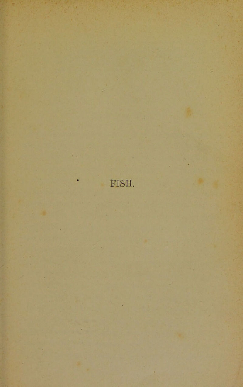 FISH.