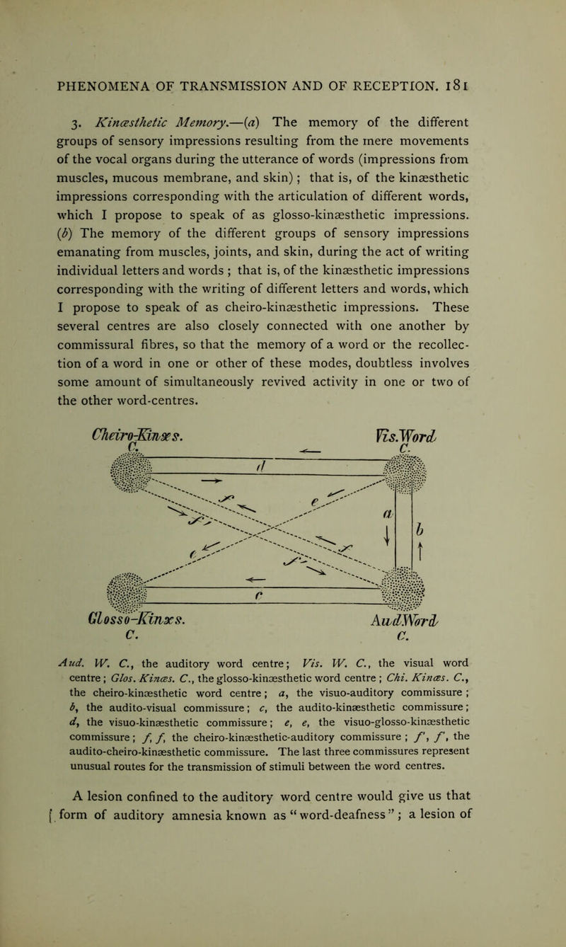 3. Kincesthetic Memory.—(a) The memory of the different groups of sensory impressions resulting from the mere movements of the vocal organs during the utterance of words (impressions from muscles, mucous membrane, and skin); that is, of the kinaesthetic impressions corresponding with the articulation of different words, which I propose to speak of as glosso-kinaesthetic impressions. (b) The memory of the different groups of sensory impressions emanating from muscles, joints, and skin, during the act of writing individual letters and words ; that is, of the kinaesthetic impressions corresponding with the writing of different letters and words, which I propose to speak of as cheiro-kinaesthetic impressions. These several centres are also closely connected with one another by commissural fibres, so that the memory of a word or the recollec- tion of a word in one or other of these modes, doubtless involves some amount of simultaneously revived activity in one or two of the other word-centres. CJieiro-Mriacs. VisMorcl c: JUi 11 wSk. Glosso-Kinxs. AwcLWorcL c. a. Aud. IV. C., the auditory word centre; Vis. W. C., the visual word centre; Glos. Kinces. C., the glosso-kinaesthetic word centre ; Chi. Kinces. C., the cheiro-kinaesthetic word centre; a, the visuo-auditory commissure ; by the audito-visual commissure; c, the audito-kinaesthetic commissure; d, the visuo-kinaesthetic commissure; e, e, the visuo-glosso-kinaesthetic commissure; f ft the cheiro-kinaesthetic-auditory commissure ; /’, /’, the audito-cheiro-kinaesthetic commissure. The last three commissures represent unusual routes for the transmission of stimuli between the word centres. A lesion confined to the auditory word centre would give us that [ form of auditory amnesia known as “ word-deafness ” ; a lesion of