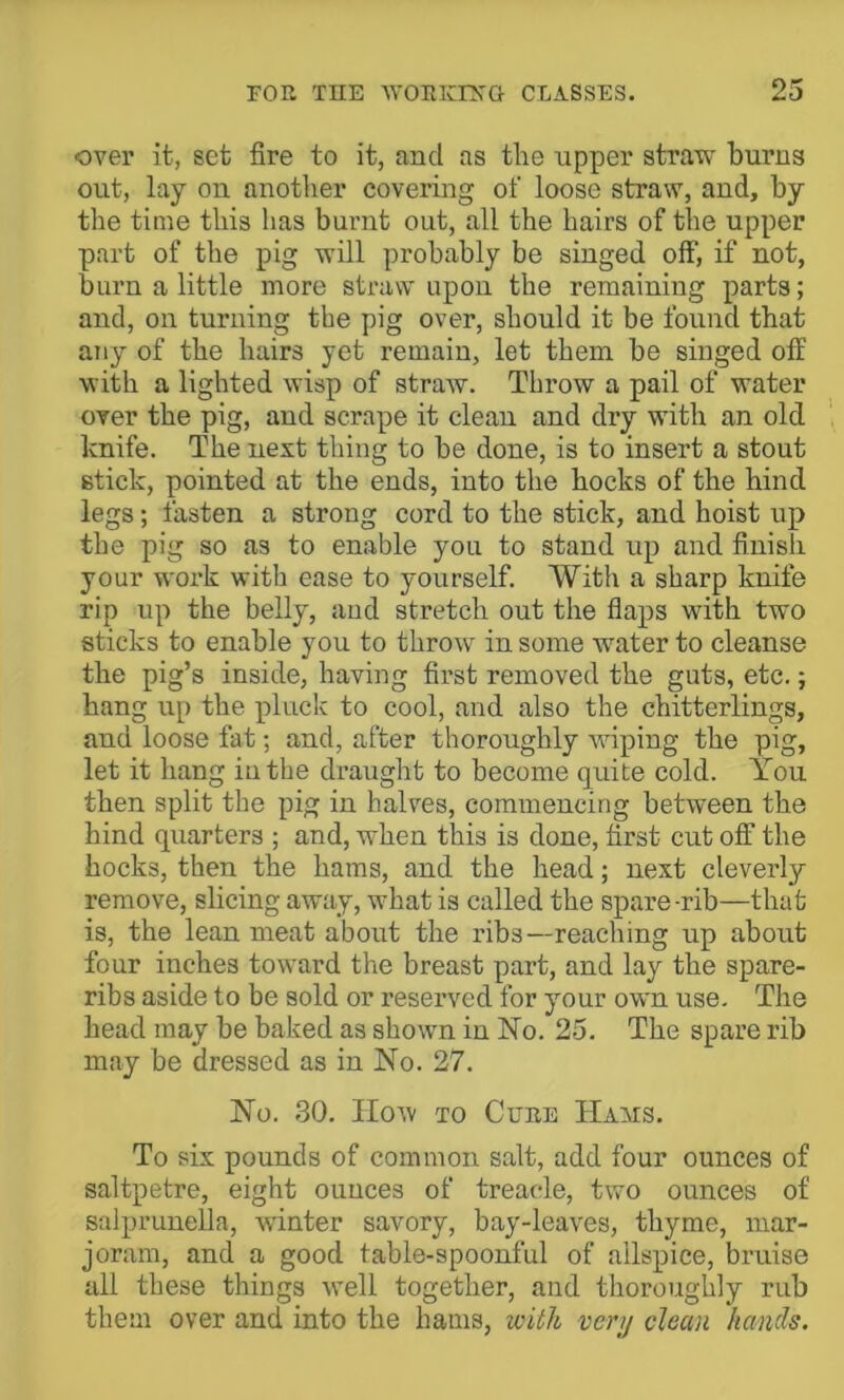 ovei’ it, set fire to it, and as the upper straw burns out, lay on another covering of loose straw, and, by the time this has burnt out, all the hairs of the upper part of the pig will probably be singed off, if not, burn a little more straw upon the remaining parts; and, on turning the pig over, should it be found that any of the hairs yet remain, let them be singed off with a lighted wisp of straw. Throw a pail of water over the pig, and scrape it clean and dry with an old knife. The next thing to be done, is to insert a stout stick, pointed at the ends, into the hocks of the hind legs; fasten a strong cord to the stick, and hoist up the pig so as to enable you to stand up and finish your work with ease to yourself. With a sharp knife rip up the belly, aud stretch out the flaps with two sticks to enable you to throw in some water to cleanse the pig’s inside, having first removed the guts, etc.; hang up the pluck to cool, and also the chitterlings, and loose fat; and, after thoroughly wiping the pig, let it hang in the draught to become quite cold. You then split the pig in halves, cominencing between the hind quarters ; and, when this is done, first cut off the hocks, then the hams, and the head; next cleverly remove, slicing away, what is called the spare-rib—that is, the lean meat about the ribs—reaching up about four inches toward the breast part, and lay the spare- ribs aside to be sold or reserved for your own use. The head may be baked as shown in No. 25. The spare rib may be dressed as in No. 27. No. 30. IIow TO Cure Ha:ms. To six pounds of common salt, add four ounces of saltpetre, eight ounces of treacle, two ounces of salprunella, wdnter savory, bay-leaves, thyme, mar- joram, and a good table-spoonful of allspice, bruise all these things wmll together, and thoroughly rub them over and into the hams, with very clean hands.