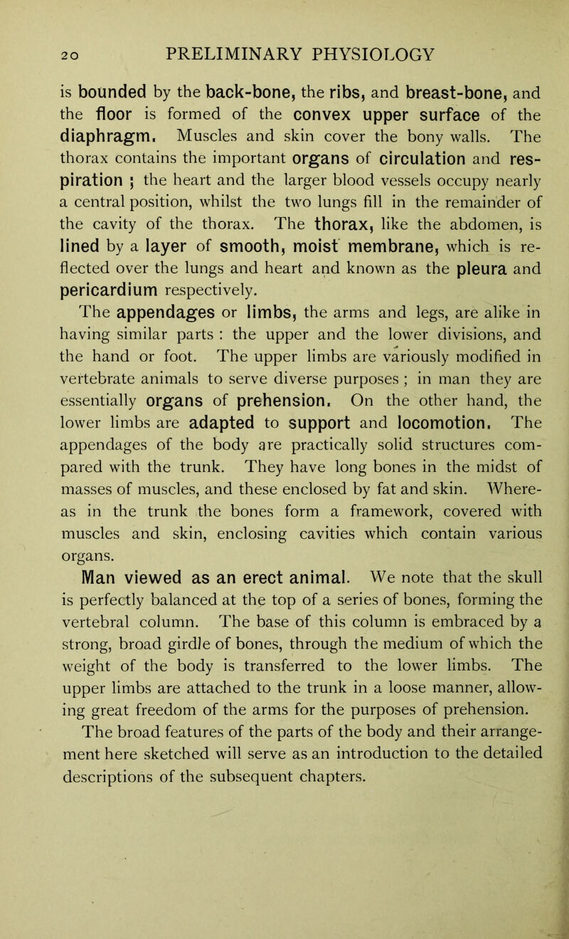 is bounded by the back-bone, the ribs, and breast-bone, and the floor is formed of the convex upper surface of the diaphragm, Muscles and skin cover the bony walls. The thorax contains the important organs of circulation and res- piration ; the heart and the larger blood vessels occupy nearly a central position, whilst the two lungs fill in the remainder of the cavity of the thorax. The thorax, like the abdomen, is lined by a layer of smooth, moist membrane, which is re- flected over the lungs and heart and known as the pleura and pericardium respectively. The appendages or limbs, the arms and legs, are alike in having similar parts : the upper and the lower divisions, and the hand or foot. The upper limbs are variously modified in vertebrate animals to serve diverse purposes ; in man they are essentially organs of prehension. On the other hand, the lower limbs are adapted to support and locomotion, The appendages of the body are practically solid structures com- pared with the trunk. They have long bones in the midst of masses of muscles, and these enclosed by fat and skin. Where- as in the trunk the bones form a framework, covered with muscles and skin, enclosing cavities which contain various organs. Man viewed as an erect animal. We note that the skull is perfectly balanced at the top of a series of bones, forming the vertebral column. The base of this column is embraced by a strong, broad girdle of bones, through the medium of which the weight of the body is transferred to the lower limbs. The upper limbs are attached to the trunk in a loose manner, allow- ing great freedom of the arms for the purposes of prehension. The broad features of the parts of the body and their arrange- ment here sketched will serve as an introduction to the detailed descriptions of the subsequent chapters.