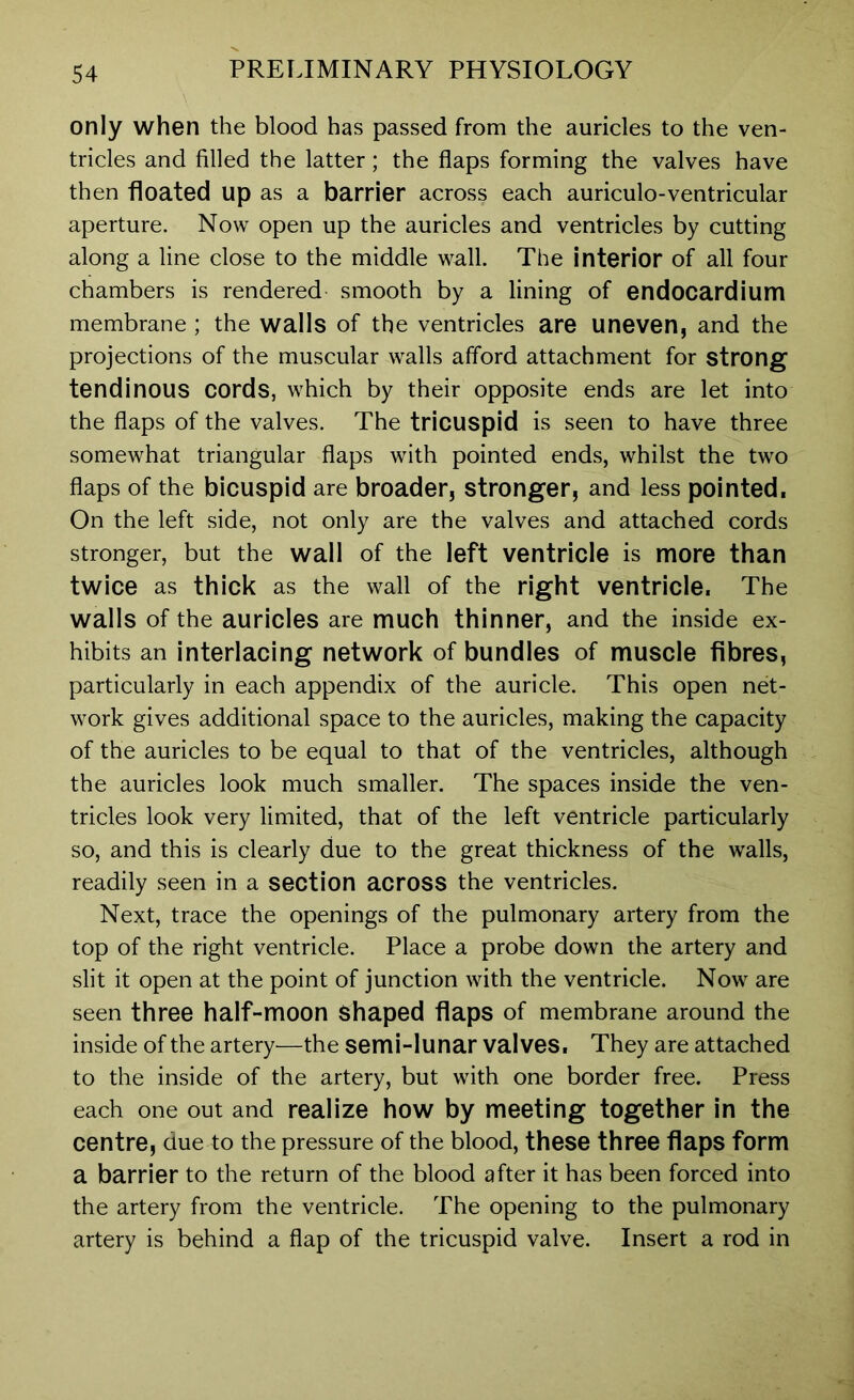 only when the blood has passed from the auricles to the ven- tricles and filled the latter; the flaps forming the valves have then floated up as a barrier across each auriculo-ventricular aperture. Now open up the auricles and ventricles by cutting along a line close to the middle wall. The interior of all four chambers is rendered smooth by a lining of endocardium membrane ; the walls of the ventricles are uneven, and the projections of the muscular walls afford attachment for strong tendinous cords, which by their opposite ends are let into the flaps of the valves. The tricuspid is seen to have three somewhat triangular flaps with pointed ends, whilst the two flaps of the bicuspid are broader, stronger, and less pointed, On the left side, not only are the valves and attached cords stronger, but the wall of the left ventricle is more than twice as thick as the wall of the right ventricle. The walls of the auricles are much thinner, and the inside ex- hibits an interlacing network of bundles of muscle fibres, particularly in each appendix of the auricle. This open net- work gives additional space to the auricles, making the capacity of the auricles to be equal to that of the ventricles, although the auricles look much smaller. The spaces inside the ven- tricles look very limited, that of the left ventricle particularly so, and this is clearly due to the great thickness of the walls, readily seen in a section across the ventricles. Next, trace the openings of the pulmonary artery from the top of the right ventricle. Place a probe down the artery and slit it open at the point of junction with the ventricle. Now are seen three half-moon Shaped flaps of membrane around the inside of the artery—the semi-lunar valves. They are attached to the inside of the artery, but with one border free. Press each one out and realize how by meeting together in the centre, due to the pressure of the blood, these three flaps form a barrier to the return of the blood after it has been forced into the artery from the ventricle. The opening to the pulmonary artery is behind a flap of the tricuspid valve. Insert a rod in