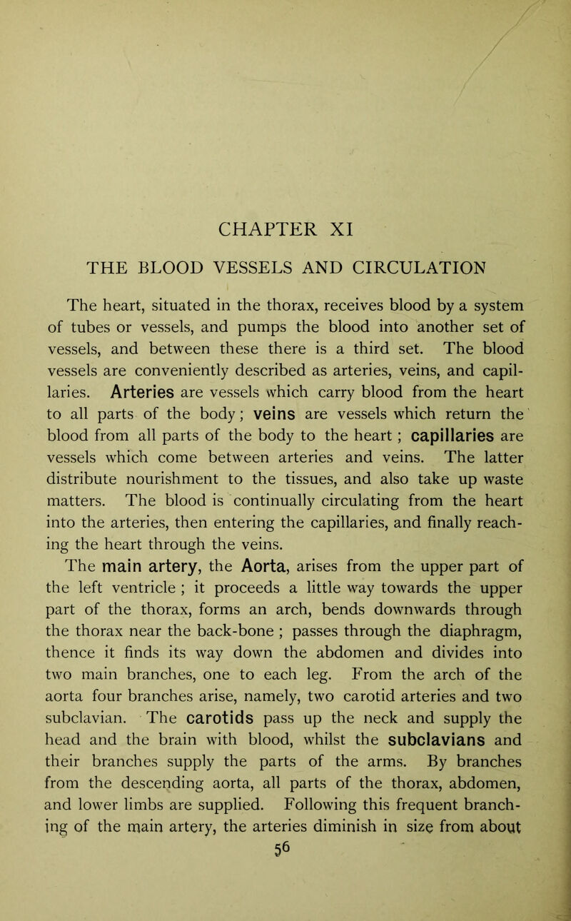 THE BLOOD VESSELS AND CIRCULATION The heart, situated in the thorax, receives blood by a system of tubes or vessels, and pumps the blood into another set of vessels, and between these there is a third set. The blood vessels are conveniently described as arteries, veins, and capil- laries. Arteries are vessels which carry blood from the heart to all parts of the body; veins are vessels which return the blood from all parts of the body to the heart; capillaries are vessels which come between arteries and veins. The latter distribute nourishment to the tissues, and also take up waste matters. The blood is continually circulating from the heart into the arteries, then entering the capillaries, and finally reach- ing the heart through the veins. The main artery, the Aorta, arises from the upper part of the left ventricle ; it proceeds a little way towards the upper part of the thorax, forms an arch, bends downwards through the thorax near the back-bone ; passes through the diaphragm, thence it finds its way down the abdomen and divides into two main branches, one to each leg. From the arch of the aorta four branches arise, namely, two carotid arteries and two subclavian. The carotids pass up the neck and supply the head and the brain with blood, whilst the subclavians and their branches supply the parts of the arms. By branches from the descending aorta, all parts of the thorax, abdomen, and lower limbs are supplied. Following this frequent branch- ing of the main artery, the arteries diminish in size from about