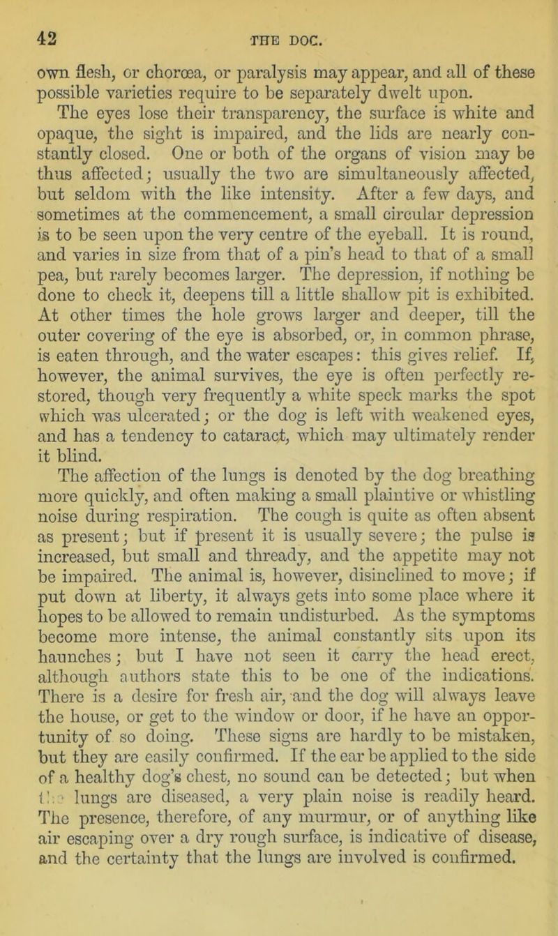 own flesh, or choroea, or paralysis may appear, and all of these possible varieties require to be separately dwelt upon. The eyes lose their transparency, the surface is white and opaque, the sight is impaired, and the lids are nearly con- stantly closed. One or both of the organs of vision may be thus affected; usually the two are simultaneously affected, but seldom with the like intensity. After a few days, and sometimes at the commencement, a small circular depression is to be seen upon the very centre of the eyeball. It is round, and varies in size from that of a pin’s head to that of a small pea, but rarely becomes larger. The depression, if nothing be done to check it, deepens till a little shallow pit is exhibited. At other times the hole grows larger and deeper, till the outer covering of the eye is absorbed, or, in common phrase, is eaten through, and the water escapes: this gives relief. If, however, the animal survives, the eye is often perfectly re- stored, though very frequently a white speck marks the spot which was ulcerated; or the dog is left with weakened eyes, and has a tendency to cataract, which may ultimately render it blind. The affection of the lungs is denoted by the dog breathing more quickly, and often making a small plaintive or whistling noise during respiration. The cough is quite as often absent as present; but if present it is usually severe; the pulse is increased, but small and thready, and the appetite may not be impaired. The animal is, however, disinclined to move; if put down at liberty, it always gets into some place where it hopes to be allowed to remain undisturbed. As the symptoms become moi'e intense, the animal constantly sits upon its haunches; but I have not seen it carry the head erect, although authors state this to be one of the indications. There is a desire for fresh air, and the dog will always leave the house, or get to the window or door, if he have an oppor- tunity of so doing. These signs are hardly to be mistaken, but they are easily confirmed. If the ear be applied to the side of a healthy dog’s chest, no sound can be detected; but when i!: ■ lungs are diseased, a very plain noise is readily heard. The presence, therefore, of any murmur, or of anything like air escaping over a dry rough surface, is indicative of disease, and the cei’tainty that the lungs are involved is confirmed.