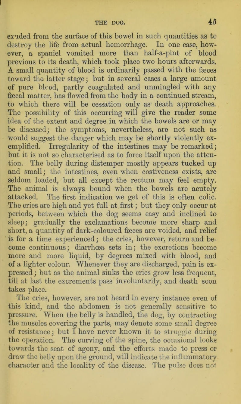 exuded from the surface of this bowel in such quantities as to destroy the life from actual hemorrhage. In one case, how- ever, a spaniel vomited more than half-a-pint of blood previous to its death, which took place two hours afterwards. A small quantity of blood is ordinarily passed with the faeces toward the latter stage; but in several cases a large amount of pure blood, partly coagulated and unmingled with any faecal matter, has flowed from the body in a continued stream, to which there will be cessation only as death approaches. The possibility of this occurring will give the reader some idea of the extent and degree in which the bowels are or may be diseased; the symptoms, nevertheless, are not such as wrould suggest the danger which may be shortly violently ex- emplified. Irregularity of the intestines may be remarked; but it is not so characterised as to force itself upon the atten- tion. The belly during distemper mostly appears tucked up and small; the intestines, even when costiveness exists, are seldom loaded, but all except the rectum may feel empty. The animal is always bound when the bowels are acutely attacked. The first indication we get of this is often colic. The cries are high and yet full at first; but they only occur at periods, between which the dog seems easy and inclined to sleep; gradually the exclamations became more sharp and short, a quantity of dark-coloured faeces are voided, and relief is for a time experienced; the cries, however, return and be- come continuous; diarrhoea sets in; the excretions become more and more liquid, by degrees mixed with blood, and of a lighter colour. Whenever they are discharged, pain is ex- pressed; but as the animal sinks the cries grow less frequent, till at last the excrements pass involuntarily, and death soon takes place. The cries, however, are not heard in every instance even of this kind, and the abdomen is not generally sensitive to pressure. When the belly is handled, the dog, by contracting the muscles covering the parts, may denote some small degree of resistance; but I have never known it to struggle during the operation. The curving of the spine, the occasional looks towards the seat of agony, and the efforts made to press or draw the belly upon the ground, will indicate the inflammatory character and the locality of the disease. The pulse does not