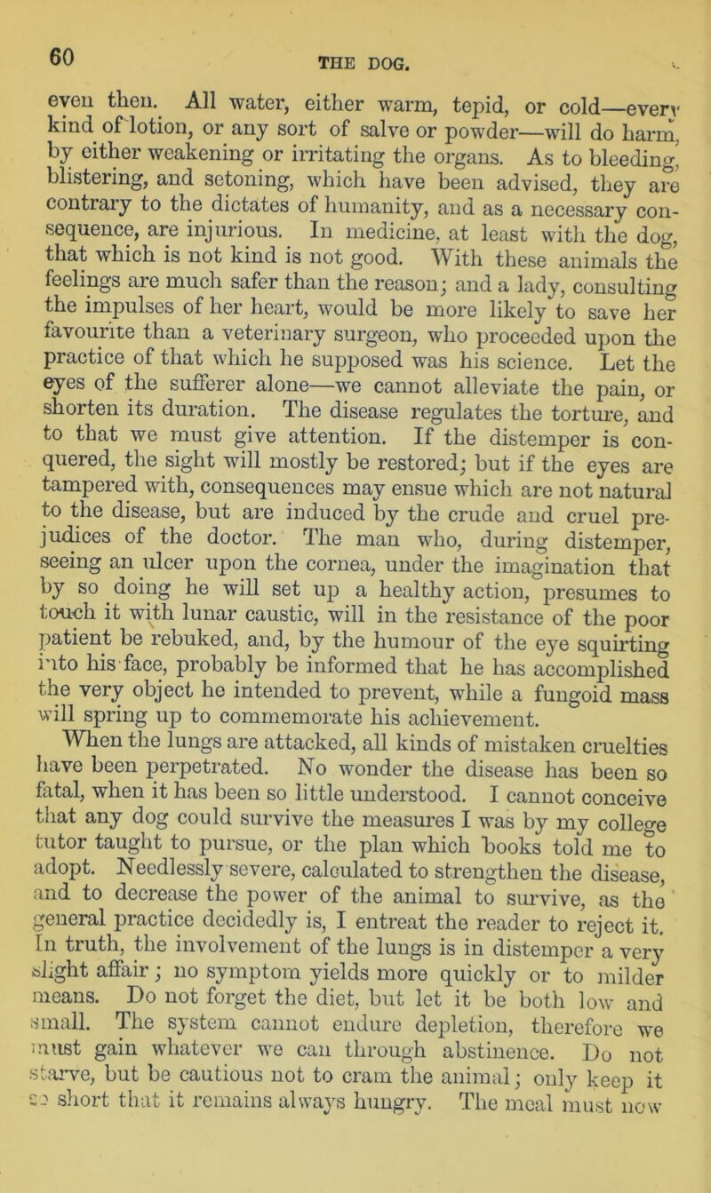 even tkein All water, either warm, tepid, or cold—even- kind of lotion, or any sort of salve or powder—will do harm, by either weakening or irritating the organs. As to bleeding! blistering, and setoning, which have been advised, they are contrary to the dictates of humanity, and as a necessary con- sequence, are injurious. In medicine, at least with the dog, that which is not kind is not good. With these animals the feelings are much safer than the reason; and a lady, consulting the impulses of her heart, would be more likely to save her favourite than a veterinary surgeon, who proceeded upon the practice of that which he supposed was his science. Let the eyes of the sufferer alone—we cannot alleviate the pain, or shorten its duration. The disease regulates the torture, and to that we must give attention. If the distemper is con- quered, the sight will mostly be restored; but if the eyes are tampered with, consequences may ensue which are not natural to the disease, but are induced by the crude and cruel pre- judices of the doctor. The man who, during distemper, seeing an ulcer upon the cornea, under the imagination that by so doing he will set up a healthy action, presumes to touch it with lunar caustic, will in the resistance of the poor patient be rebuked, and, by the humour of the eye squirting into his face, probably be informed that he has accomplished the very object he intended to prevent, while a fungoid mass will spring up to commemorate his achievement. When the lungs are attacked, all kinds of mistaken cruelties have been perpetrated. No wonder the disease has been so fatal, when it has been so little understood. I cannot conceive that any dog could survive the measures I was by my college tutor taught to pursue, or the plan which books told me to adopt. Needlessly severe, calculated to strengthen the disease, and to decrease the power of the animal to survive, as the general practice decidedly is, I entreat the reader to reject it. In truth, the involvement of the lungs is in distemper a very flight affair; no symptom yields more quickly or to milder means. Do not forget the diet, but let it be both low and small. The system cannot endure depletion, therefore we must gain whatever we can through abstinence. Do not starve, but be cautious not to cram the animal; only keep it e-1 short that it remains always hungry. The meal must now