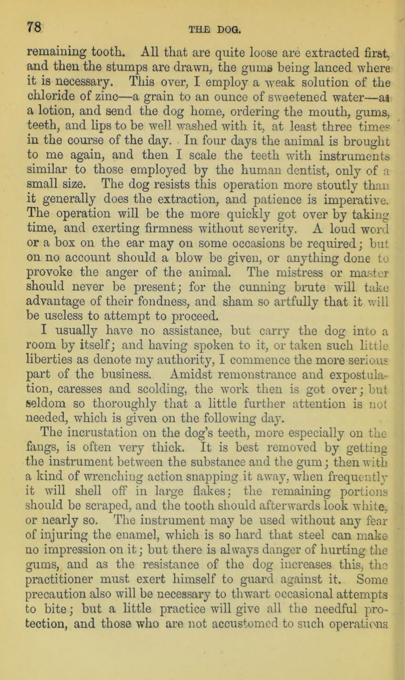 remaining tooth. All that are quite loose are extracted first, and then the stumps are drawn, the gums being lanced where it is necessary. This over, I employ a weak solution of the chloride of zinc—a grain to an ounce of sweetened water—as a lotion, and send the dog home, ordering the mouth, gums, teeth, and lips to be well washed with it, at least three times in the course of the day. In four days the animal is brought to me again, and then I scale the teeth with instruments similar to those employed by the human dentist, only of a small size. The dog resists this operation more stoutly than it generally does the extraction, and patience is imperative. The operation will be the more quickly got over by taking time, and exerting firmness without severity. A loud word or a box on the ear may on some occasions be required; but on no account should a blow be given, or anything done to provoke the anger of the animal. The mistress or master should never be present; for the cunning brute will take advantage of their fondness, and sham so artfully that it will be useless to attempt to proceed. I usually have no assistance, but carry the dog into a room by itself; and having spoken to it, or taken such little liberties as denote my authority, I commence the more serious part of the business. Amidst remonstrance and expostula- tion, caresses and scolding, the work then is got over; but seldom so thoroughly that a little further attention is not needed, which is given on the following day. The incrustation on the dog’s teeth, more especially on the fangs, is often very thick. It is best removed by getting the instrument between the substance and the gum; then with a kind of wrenchiug action snapping it away, when frequently it will shell off in large flakes; the remaining portions should be scraped, and the tooth should afterwards look white, or nearly so. The instrument may be used without any fear of injuring the enamel, which is so hard that steel can make no impression on it; but there is always danger of hurting the gums, and as the resistance of the dog increases this, the practitioner must exert himself to guard against it. Some precaution also will be necessary to thwart occasional attempts to bite; but a little practice will give all the needful pro- tection, and those who are not accustomed to such operations