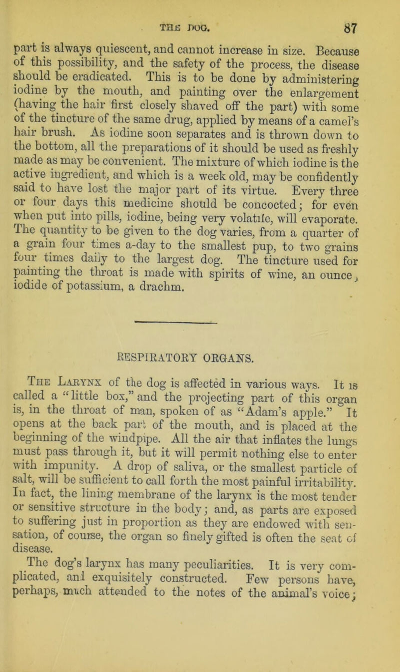 part is always quiescent, and cannot increase in size. Because of this possibility, and the safety of the process, the disease should be eradicated. This is to be done by administering iodine by the mouth, and painting over the enlargement (having the hair first closely shaved off the part) with some of the tincture of the same drug, applied by means of a camel’s hair brush. As iodine soon separates and is thrown down to the bottom, all the preparations of it should be used as freshly made as may be convenient. The mixture of which iodine is the active ingredient, and which is a week old, may be confidently said to have lost the major part of its virtue. Every three or four days this medicine should be concocted; for even when put into pills, iodine, being very volatile, will evaporate. The quantity to be given to the dog varies, from a quarter of a grain four times a-day to the smallest pup, to two grains four times daily to the largest dog. The tincture used for painting the throat is made with spirits of wine, an ounce iodide of potassium, a drachm. RESPIRATORY ORGANS. The Larynx of the dog is affected in various ways. It is called a “little box,” and the projecting part of this organ is, in the throat of man, spoken of as “Adam’s apple.” °It opens at the back pari of the mouth, and is placed at the beginning of the windpipe. All the air that inflates the lungs must pass through it, but it will permit nothing else to enter with impunity. A drop of saliva, or the smallest particle of salt, will be sufficient to call forth the most painful irritability. In fact, the lining membrane of the larynx is the most tender or sensitive structure in the body; and, as parts are exposed to suffering just in proportion as they are endowed with sen- sation, of couise, the organ so finely gifted is often the seat of disease. The dog s larynx has many peculiarities. It is very com- plicated, ani exquisitely constructed. Few persons have, perhaps, much attended to the notes of the animal’s voice j