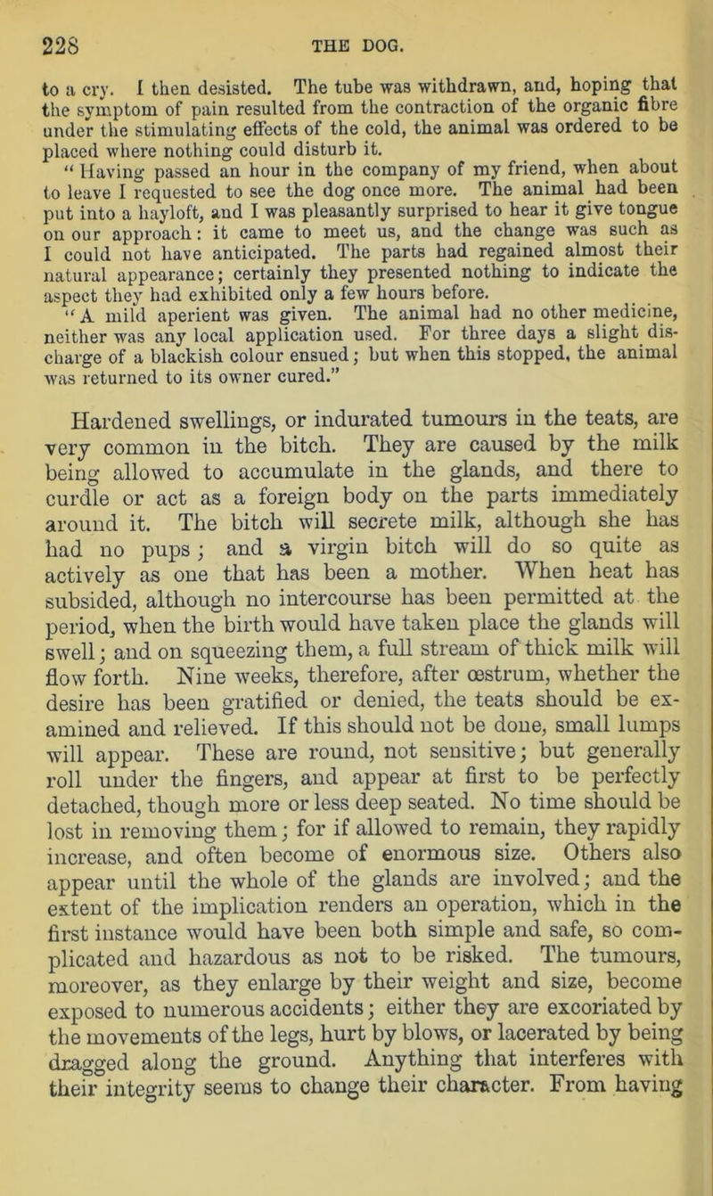 to a cry. I then desisted. The tube was withdrawn, and, hoping that the symptom of pain resulted from the contraction of the organic fibre under the stimulating effects of the cold, the animal was ordered to be placed where nothing could disturb it. “ Having passed an hour in the company of my friend, when about to leave I requested to see the dog once more. The animal had been put into a hayloft, and I was pleasantly surprised to hear it give tongue on our approach: it came to meet us, and the change was such as I could not have anticipated. The parts had regained almost their natural appearance; certainly they presented nothing to indicate the aspect they had exhibited only a few hours before. “A mild aperient was given. The animal had no other medicine, neither was any local application used. For three days a slight dis- charge of a blackish colour ensued; but when this stopped, the animal was returned to its owner cured.” Hardened swellings, or indurated tumours in the teats, are very common in the bitch. They are caused by the milk being allowed to accumulate in the glands, and there to curdle or act as a foreign body on the parts immediately around it. The bitch will secrete milk, although she has had no pups; and a virgin bitch will do so quite as actively as one that has been a mother. When heat has subsided, although no intercourse has been permitted at the period, when the birth would have taken place the glands will swell; and on squeezing them, a full stream of thick milk will flow forth. Nine weeks, therefore, after oestrum, whether the desire lias been gratified or denied, the teats should be ex- amined and relieved. If this should not be done, small lumps will appear. These are round, not sensitive; but generally roll under the fingers, and appear at first to be perfectly detached, though more or less deep seated. No time should be lost in removing them; for if allowed to remain, they rapidly increase, and often become of enormous size. Others also appear until the whole of the glands are involved; and the extent of the implication renders an operation, which in the first instance would have been both simple and safe, so com- plicated and hazardous as not to be risked. The tumours, moreover, as they enlarge by their weight and size, become exposed to numerous accidents; either they are excoriated by the movements of the legs, hurt by blows, or lacerated by being dragged along the ground. Anything that interferes with their integrity seems to change their character. From having