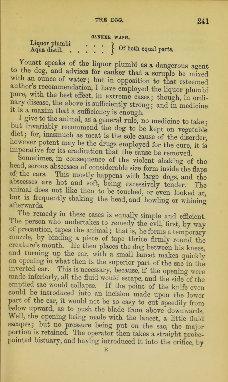 CANKER WASH. Liquor plumbi ... ) Aqua distil r 'Jr both equal parts. Youatt speaks of the liquor plumbi as a dangerous agent to the dog, and advises for canker that a scruple be mixed with an ounce of water; but in opposition to that esteemed author s recommendation, I have employed the liquor plumbi pure, with the best effect, in extreme cases; though, in ordi- nary disease, the above is sufficiently strong; and in medicine it is a maxim that a sufficiency is enough. I give to the animal, as a general rule, no medicine to take; but invariably recommend the dog to be kept on vegetable cliet; for, inasmuch as meat is the sole cause of the disorder lowever potent may be the drugs employed for the cure, it is imperative for its eradication that the cause be removed. Sometimes, in consequence of the violent shaking of the head, serous abscesses of considerable size form inside the flaps of the ears. This mostly happens with large dogs, and the abscesses are hot and soft, being excessively tender. The animal does not like then to be touched, or even looked at ut is frequently shaking the head, and howling or whinin^ afterwards. The remedy in these cases is equally simple and efficient. The person who undertakes to remedy the evil,'first, by way of precaution, tapes the animal; that is, he forms a temporary muzzle, ^by binding a piece of tape thrice firmly round the creature s. mouth. He then places the dog between his knees, and turning up the ear, with a small lancet makes quickly an opening in what then is the superior part of the sac in the inverted ear. This is necessary, because, if the opening were made interiorly, all the fluid would escape, and the side°of the emptied sac would collapse. If the point of the knife even could be introduced into an incision made upon the lower part of the ear, it would net be so easy to cut speedily from below upward, as to push the blade from above downwards. Well, the opening being made with the lancet, a little fluid escapes;, but no pressure being put on the sac, the major portion is retained. The operator then takes a straight probe- pointed bistuary, and having introduced it into the orifice, by R