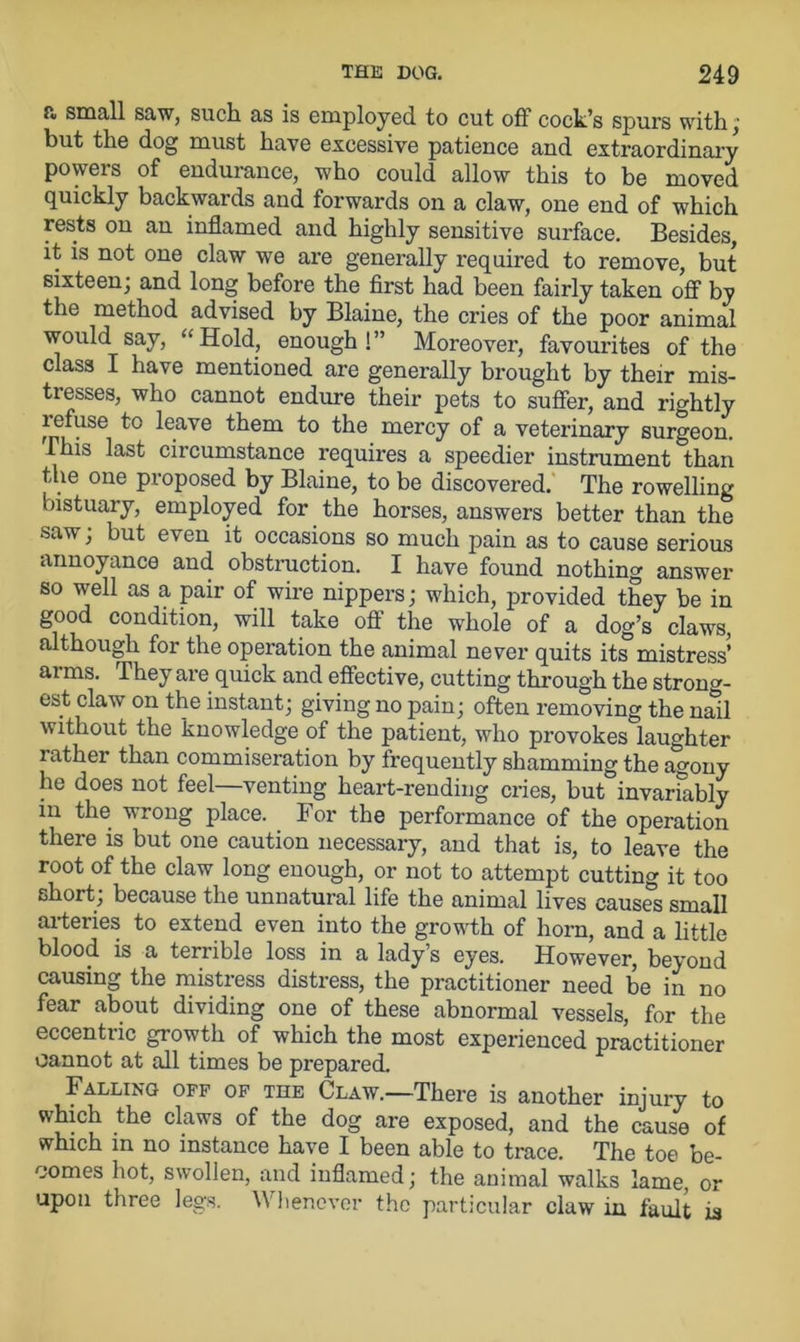 p., small saw, such, as is employed to cut oft cock’s spurs with; but the dog must have excessive patience and extraordinary powers of endurance, who could allow this to be moved quickly backwards and forwards on a claw, one end of which rests on an inflamed and highly sensitive surface. Besides, it is not one claw we are generally required to remove, but sixteen; and long before the first had been fairly taken off by the method advised by Blaine, the cries of the poor animal would say, “Hold, enough!” Moreover, favourites of the class I have mentioned are generally brought by their mis- tresses, who cannot endure their pets to suffer, and rightly refuse to leave them to the mercy of a veterinary surgeon. This last circumstance requires a speedier instrument than the one proposed by Blaine, to be discovered. The rowelling bistuary, employed for the horses, answers better than the saw; but even it occasions so much pain as to cause serious annoyance and obstruction. I have found nothing answer so well as a pair of wire nippers; which, provided they be in good condition, will take off the whole of a dog’s claws, although for the operation the animal never quits its mistress’ arms. They are quick and effective, cutting through the strong- est claw on the instant; giving no pain; often removing the nail without the knowledge of the patient, who provokes laughter rather than commiseration by frequently shamming the agony he does not feel—venting heart-rending cries, but invarfably in the wrong place. For the performance of the operation there is but one caution necessary, and that is, to leave the root of the claw long enough, or not to attempt cutting it too short, because the unnatural life the animal lives causes small arteries to extend even into the growth of horn, and a little blood is a terrible loss in a lady’s eyes. However, beyond causing the mistress distress, the practitioner need be in no fear about dividing one of these abnormal vessels, for the eccentric growth of which the most experienced practitioner cannot at all times be prepared. Falling off of the Claw.—There is another injury to which the claws of the dog are exposed, and the cause of which m no instance have I been able to trace. The toe be- comes hot, swollen, and inflamed; the animal walks lame, or upon three legs. Whenever the particular claw in. fault is