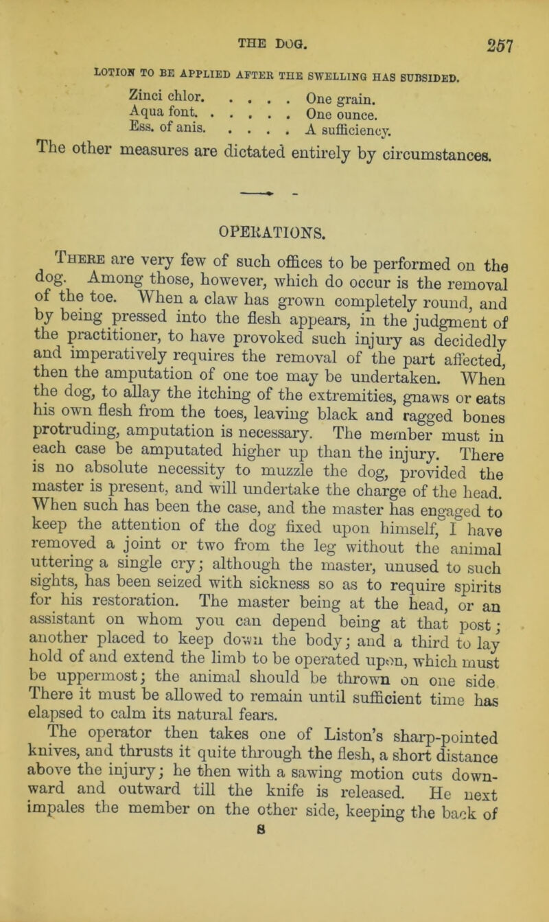 LOTION TO BE APPLIED AFTER THE SWELLING HAS SUBSIDED. Zinci chlor One grain. Aqua font. One ounce. Ess. of anis A sufficiency. The other measures are dictated entirely by circumstances. OPERATIONS. There are very few of such offices to be performed on the dog. Among those, however, which do occur is the removal of the toe. When a claw has grown completely round, and by being pressed into the flesh appears, in the judgment of the practitioner, to have provoked such injury as decidedly and imperatively requires the removal of the part affected, then the amputation of one toe may be undertaken. When the dog, to allay the itching of the extremities, gnaws or eats his own flesh from the toes, leaving black and ragged bones protiuding, amputation is necessary. The member must in each case be amputated higher up than the injury. There is no absolute necessity to muzzle the dog, provided the master is present, and will undertake the charge of the head. When such has been the case, and the master has engaged to keep the attention of the dog fixed upon himself, I have removed a joint or two from the leg without the animal uttering a single cry; although the master, unused to such sights, has been seized with sickness so as to require spirits for his restoration. The master being at the head, or an assistant on whom you can depend being at that post • another placed to keep down the body; and a third to lay hold of and extend the limb to be operated upon, which must be uppermost; the animal should be thrown on one side There it must be allowed to remain until sufficient time has elapsed to calm its natural fears. The operator then takes one of Liston’s sharp-pointed knives, and thrusts it quite through the flesh, a short distance above the injury; he then with a sawing motion cuts down- ward and outward till the knife is released. He next impales the member on the other side, keeping the back of 8