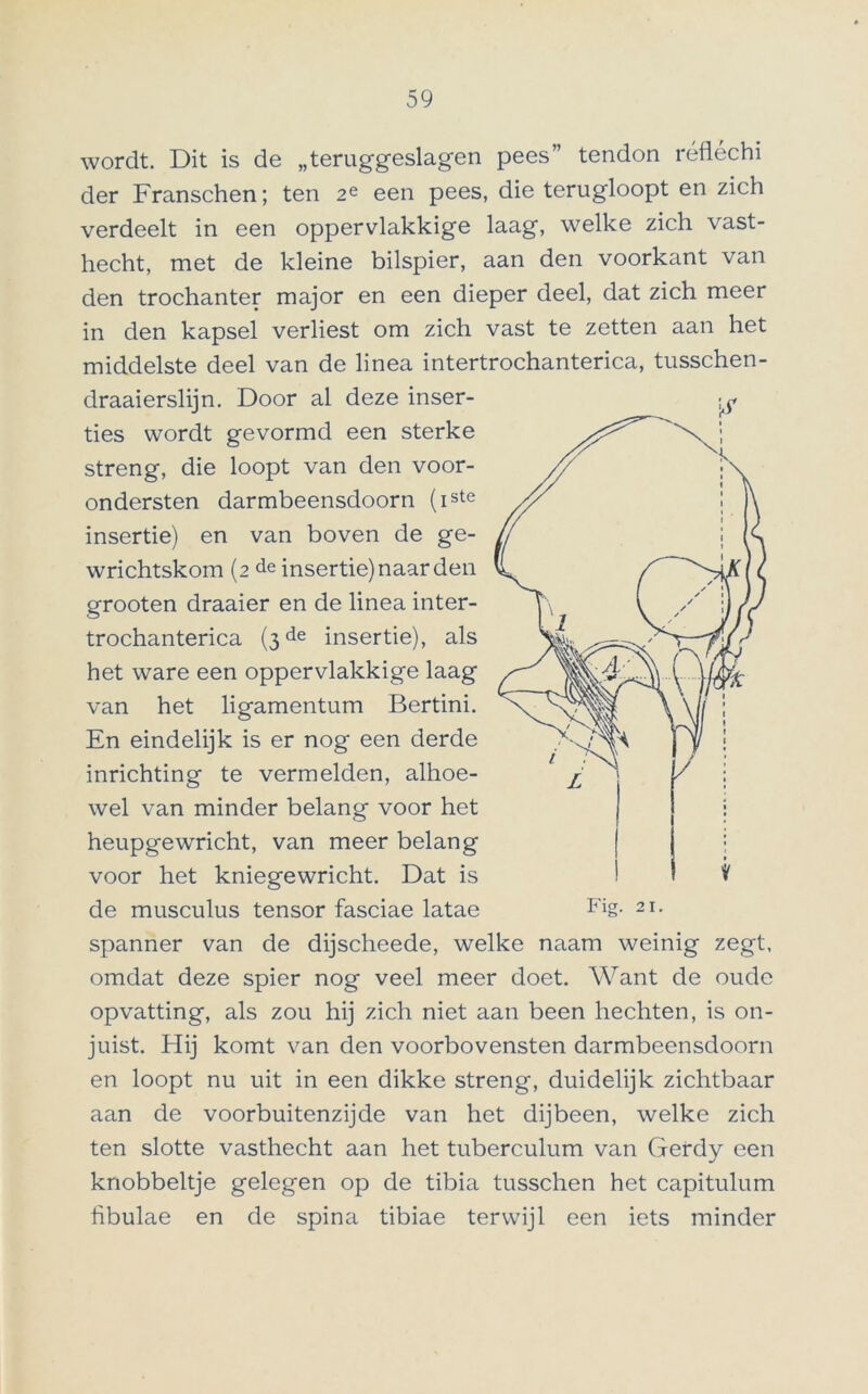 wordt. Dit is de „teruggeslagen pees” tendon réfléchi der Franschen; ten 2e een pees, die terugloopt en zich verdeelt in een oppervlakkige laag, welke zich vast- hecht, met de kleine bilspier, aan den voorkant van den trochanter major en een dieper deel, dat zich meer in den kapsel verliest om zich vast te zetten aan het middelste deel van de linea intertrochanterica, tusschen- draaierslijn. Door al deze inser- ties wordt gevormd een sterke streng, die loopt van den voor- ondersten darmbeensdoorn (iste insertie) en van boven de ge- wrichtskom (2 de insertie) naar den grooten draaier en de linea inter- trochanterica (3de insertie), als het ware een oppervlakkige laag van het ligamentum Bertini. En eindelijk is er nog een derde inrichting te vermelden, alhoe- wel van minder belang voor het heupgewricht, van meer belang voor het kniegewricht. Dat is de musculus tensor fasciae latae spanner van de dijscheede, welke naam weinig zegt, omdat deze spier nog veel meer doet. Want de oude opvatting, als zou hij zich niet aan been hechten, is on- juist. Hij komt van den voorbovensten darmbeensdoorn en loopt nu uit in een dikke streng, duidelijk zichtbaar aan de voorbuitenzijde van het dijbeen, welke zich ten slotte vasthecht aan het tuberculum van Gerdy een knobbeltje gelegen op de tibia tusschen het capitulum fibulae en de spina tibiae terwijl een iets minder