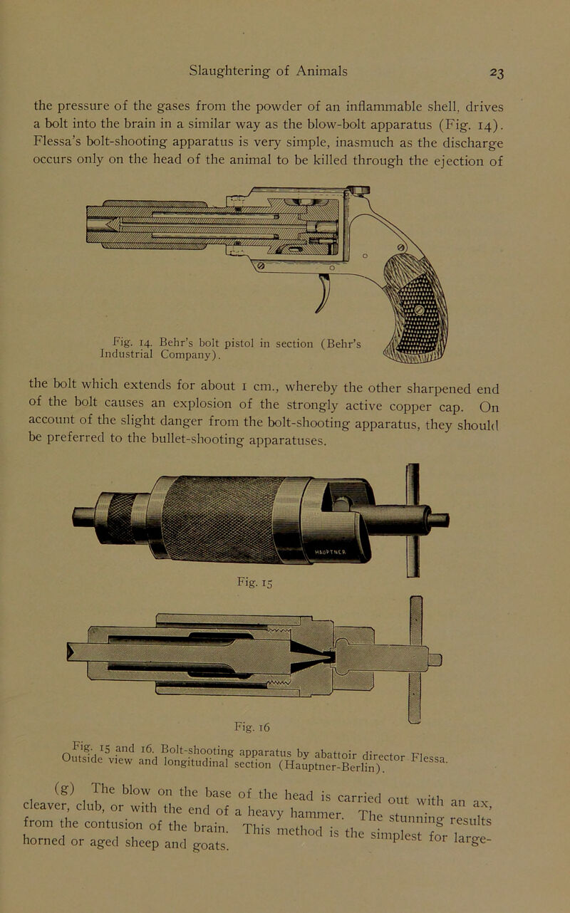 the pressure of the gases from the powder of an inflammable shell, drives a bolt into the brain in a similar way as the blow-bolt apparatus (Fig. 14). Flessa’s bolt-shooting apparatus is very simple, inasmuch as the discharge occurs only on the head of the animal to be killed through the ejection of the bolt which extends for about 1 cm., whereby the other sharpened end of the bolt causes an explosion of the strongly active copper cap. On account of the slight danger from the bolt-shooting apparatus, they should be preferred to the bullet-shooting apparatuses. oS F,essa- (g) The blow on the base of the head is carried out with an ,, cleaver, club, or with the end of a heavy hammer The , ’ from the contusion of the brain. This methodis,h^L^for’ horned or aged sheep and goats. p 1 fo1 larSe