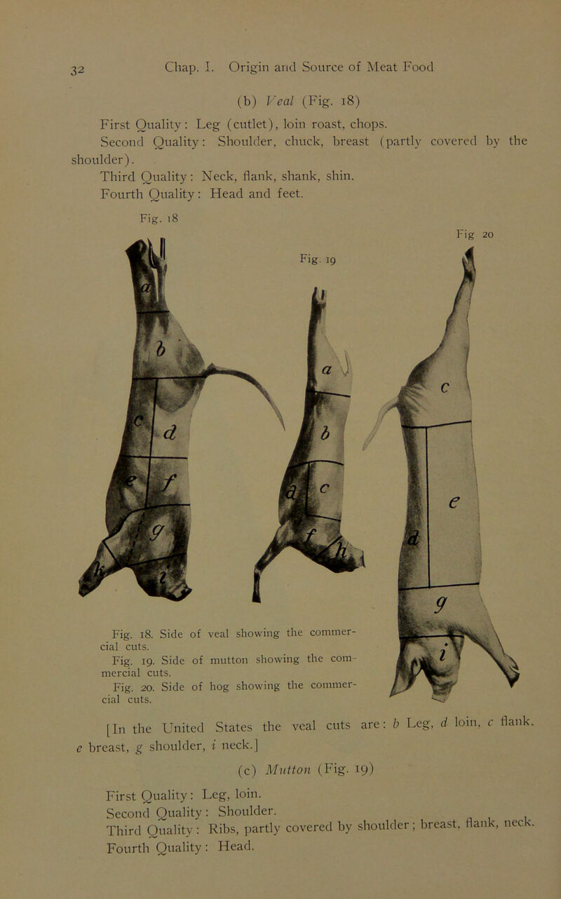 (b) Veal (Fig. 18) First Quality: Leg (cutlet), loin roast, chops. Second Quality: Shoulder, chuck, breast (partly covered by the shoulder). Third Quality: Neck, flank, shank, shin. Fourth Quality: Head and feet. Fig. 18 Fig 20 Fig. 18. Side of veal showing the commer- cial cuts. Fig. 19. Side of mutton showing the com- mercial cuts. Fig. 20. Side of hog showing the commer- cial cuts. [In the United States the veal cuts are: b Leg, d loin, c flank. e breast, g shoulder, i neck.] (c) Mutton (Fig. 19) First Quality: Leg, loin. Second Quality: Shoulder. Third Quality : Ribs, partly covered by shoulder; breast, flank, neck Fourth Quality: Head.