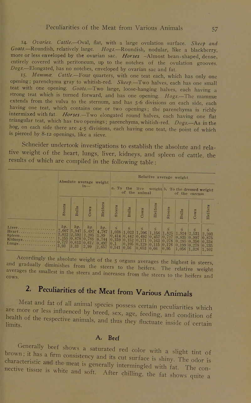 14. Ovaries. Cattle.—Oval, flat, with a large ovulation surface. Sheep and Goats.—Roundish, relatively large. Hogs—Roundish, nodular, like a blackberry, more or less enveloped by the ovarian sac. Horses -Almost bean-shaped, dense, entirely covered with peritoneum, up to the notches of the ovulation grooves. Dogs.—Elongated, has no notches, enveloped by ovarian sac and fat. 15. Mamma. Cattle.—Four quarters, with one teat each, which has only one opening; parenchyma gray to whitish-red. Sheep.—Two halves, each has one small teat with one opening. Goats.—Two large, loose-hanging halves, each having a strong teat which is turned forward, and has one opening. Hogs. The mamma; extends from the vulva to the sternum, and has 5-6 divisions on each side, each having one teat, which contains one or two openings; the parenchyma is richly intermixed with fat. Horses.— Two elongated round halves, each having one flat triangular teat, which has two openings; parenchyma, whitish-red. Dogs.—As in the hog, on each side there are 4-5 divisions, each having one teat, the point of which is pierced by 8-12 openings, like a sieve. Schneider undertook investigations to establish the absolute and rela- tive weight of the heart, lungs, liver, kidneys, and spleen of cattle, the results of which are compiled in the following table: Absolute average weight Relative average weight a. To the live weight of the animal Liver... Heart.. Spleen. . Kidneys Lungs.. leg. 7,607 3,012 1,155 0,727 3,93 3 et 6 kg. 5,947 2,592 0.S7S 0,613 ‘ 33 kg. leg. 5,497 4,787 2,205 1,89 0,7SS 0,744 0,61/ 0,497 2,99 12,657 1). To the dressed weight of the carcass $ 1,038 0,414 0,159 0,1 0,541 1,023 0,442 0,152 0,105 0,56 o $ 1,206 0,492 0,171 0,129 0,653 1,156 0,457 0,163 0,115 0,66 $ 1,825 0,727 0,278 0,176 0,95 & o M O f’ 1,924 0,835 0,285 0,199 1,056 ,531 0,997 0,356 0,278 1,326 2,203 0,875 0,334 0,235 1,102 ~ the highest in steers, averts the snrahest in the steers ^ 2, Peculiarities of the Meat from Various Animals Meat and fat of all animal species possess certain peculiarities which rc 1 r t',en“ by breed' SeX- condition of respe ammalS’ and thus they Actuate inside of certain Generally beef shows a saturated red color with a slig-ht tint of ^A1 iS nective tissue is white and soft. After chilling, the fat shows quite'!