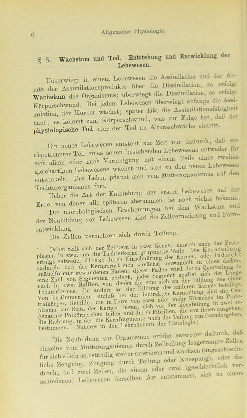 R 3. Wachstum und Tod. Entstehung und Entwicklung der Lebewesen. Ueberwiegt in einem Lebewesen die Assimilation und der An- satz der Assimilationsprodukte über die Dissimilation, so erfcdgt Wachstum des Organismus; überwiegt die Dissimilation, so enolg, Körperschwund. Bei jedem Lebewesen überwiegt anfangs dmAss- milatiön, der Körper wächst; später läßt die Assimilationsfahigk nach, es kommt zum Körperschwund, was zur Folge hat dal- de. physiologische Tod oder der Tod an Altersschwäche emtntt. Ein neues Lebewesen entsteht zur Zeit nur dadurch, daß ein abeetrennter Teil eines schon bestehenden Lebewesens entweder für 2KE. oder nach Vereinigung mit einem Teile eures zweiten Seichartigen Lebewesens wächst und sich tu dem neuen Lebewese ^wickelt Das Leben pflanzt sich vom Mutterorgamsmus auf den “SÄt Entstehung der ersten Lebewesen auf der Erde von denen aUe späteren abstammen, ist noch nichts bekaun,. Me morphologischen Erscheinungen bei dem Wachstum und der Neubildung von Lebewesen sind die ZeUvermehrung und Form- entwicklung. _ m ., Die Zellen vermehren sich durch leilun0. Dabei teilt sich der Zellkern m zweiKernteilung plasma in zwei um die Tochterkerne g^ll , Kerne« oder indirekt erfolgt entweder direkt durch Einschnürung ^Kernes,^ dadurch, daß das Kerngerust smh zuna wird durch Querteilung in knäuelförmig gewundenen Faden d er ket sich der Länge eine Zahl von Segmenten zeilegt, jedes b g™ ^ ^ Bildung des einen nach in zwei Hälften, von denen d deg äderen Kernes beteiligt. Tochterkernes, die andere au c e rärten Kernteilung sind die t en- Yon bestimmendem Einfluß hei der mehr Körnchen im Proto- tralkörper, Gebilde d e in Form von ng in zwei so- ge^Mnte Polkörperchen e^ilön ^ed^^°ai^^nande^^en. MO Neubildung von Otganismon « einzelne vom Mutterorgamsmus durch (ungeschlechf für sich allein selbständig weiter earstieie , 0jev da- liohe Zeugung, Zeugung durch ver- durch, daß zwei Zelleu, ne ®llle .«rammen sjch zu einem schiedenen) Lebewesen derselben Art en ’