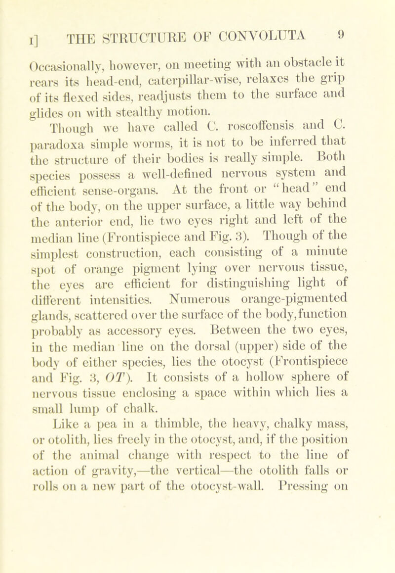 Occasionally, however, on meeting with an obstacle it rears its head-end, caterpillar-wise, relaxes the giip of its flexed sides, readjusts them to the surface and glides on with stealthy motion. Though we have called C. roscoffensis and C. paradoxa simple worms, it is not to be inferred that the structure of their bodies is really simple. Both species possess a well-defined nervous system and efficient sense-organs. At the front or “ head end of the body, on the upper surface, a little way behind the anterior end, lie two eyes right and left of the median line (Frontispiece and Fig. 3). Though of the simplest construction, each consisting of a minute spot of orange pigment lying over nervous tissue, the eyes are efficient for distinguishing light of different intensities. Numerous orange-pigmented glands, scattered over the surface of the body,function probably as accessory eyes. Between the two eyes, in the median line on the dorsal (upper) side of the body of either species, lies the otocyst (Frontispiece and Fig. 3, OT). It consists of a hollow sphere of nervous tissue enclosing a space within which lies a small lump of chalk. Like a pea in a thimble, the heavy, chalky mass, or otolith, lies freely in the otocyst, and, if the position of the animal change with respect to the line of action of gravity,-—the vertical—the otolith falls or rolls on a new part of the otocyst-wall. Pressing on